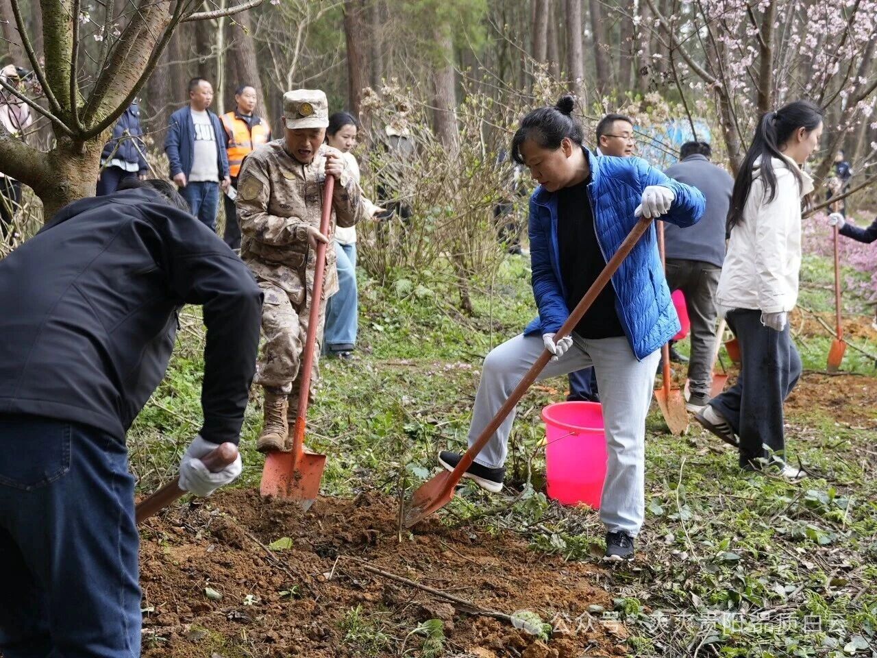 1772276582122006146.jpg 96ff8ec87526109c53c7225f48a3ed17.jpg