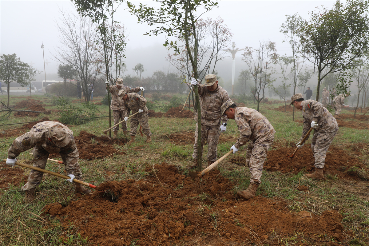 干部职工、青年志愿者、消防指战员、民兵等开展义务植树。 (3)