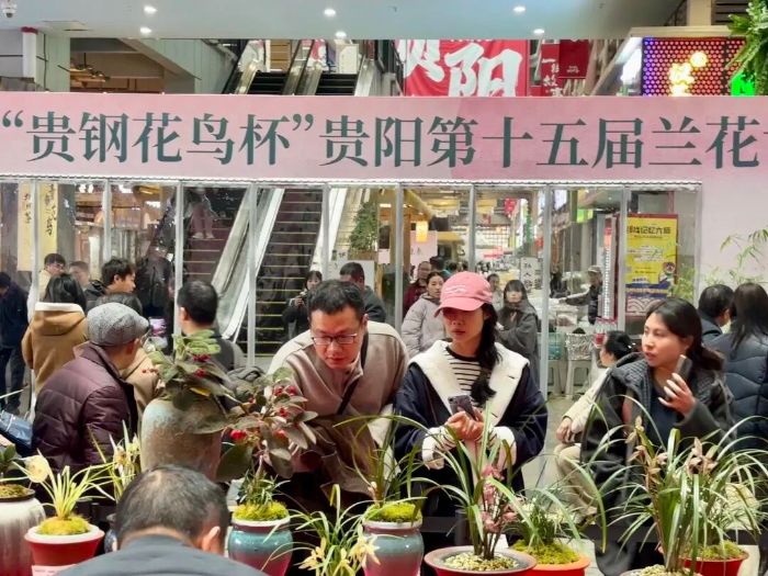 1772273407473089863.jpg 865f359f2d177ea57de5fe09453a4262.jpg