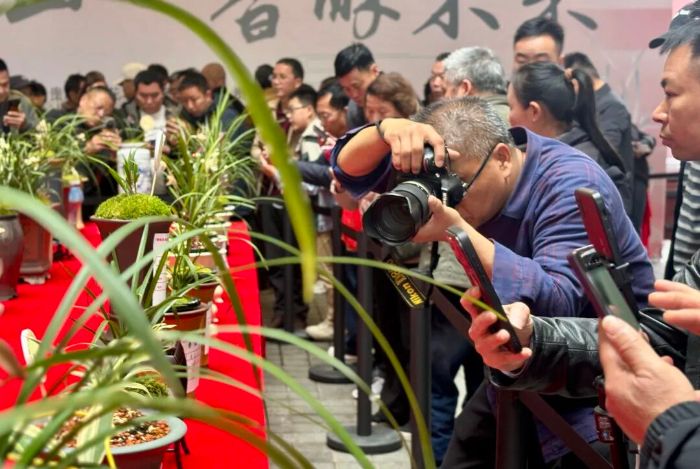 1772273416983034136.jpg de1b0f806aff5d25b78de6b7097e8c96.jpg