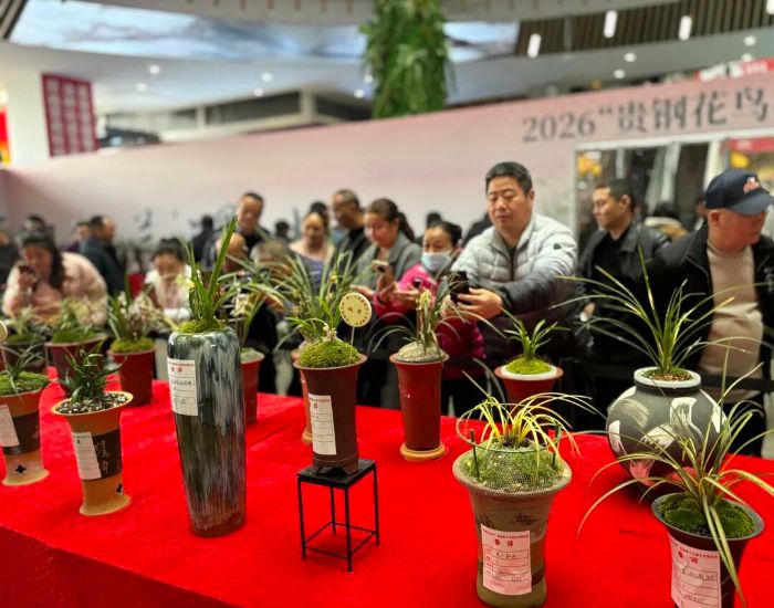 1772273430731014618.jpg 82be03801baf99ca0d8ceb804a5ecdf1.jpg