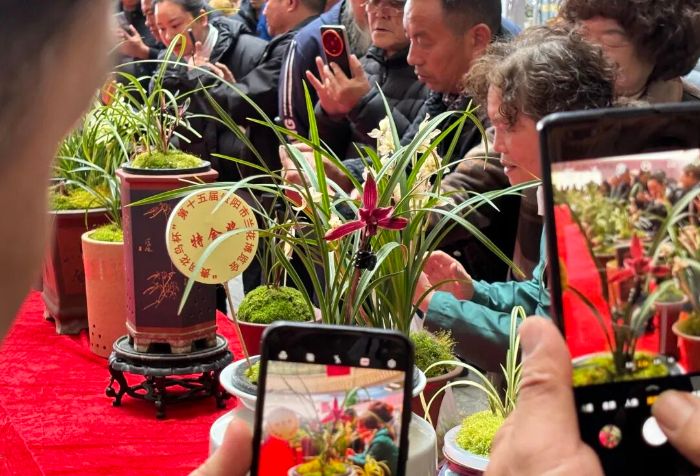 1772273488697058084.jpg 84e3090fa6105b98bec1e3178548844e.jpg