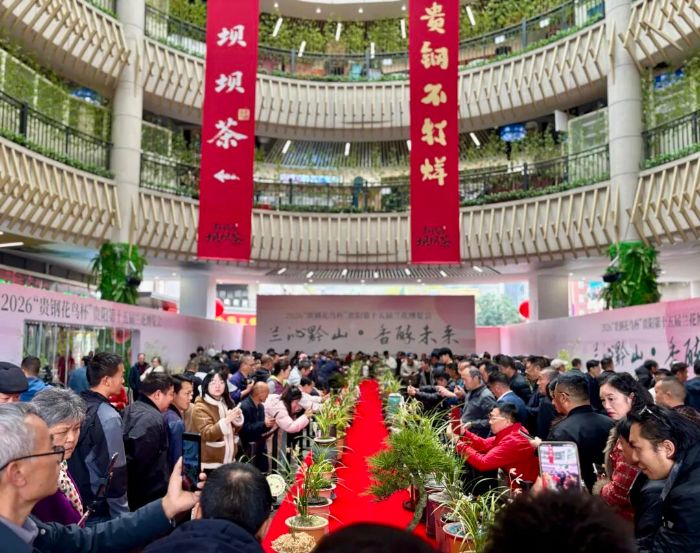 2026“貴鋼花鳥杯”貴陽第十五屆蘭花博覽會開幕_天天快報