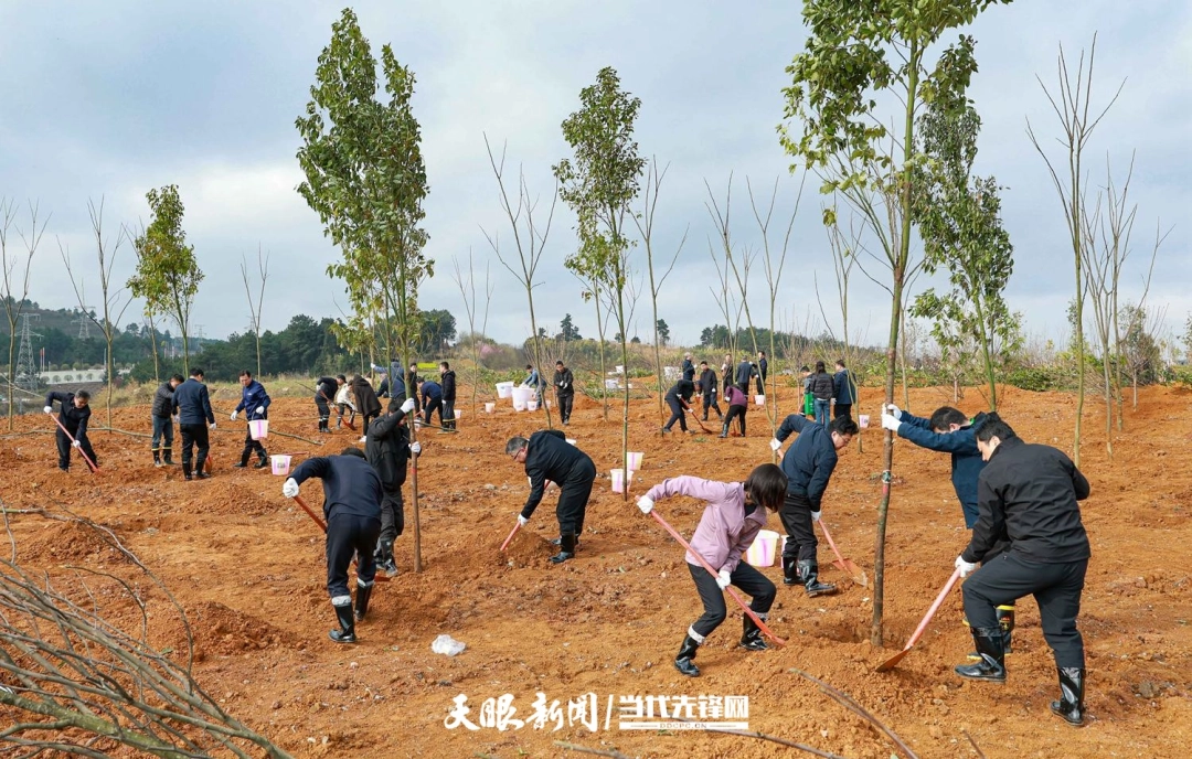 （审定）78bb6547---- 图为贵阳市双龙航空港经济区小碧乡秦棋村义务植树活动现场。贵州日报天眼新闻记者 林民 摄影.jpg