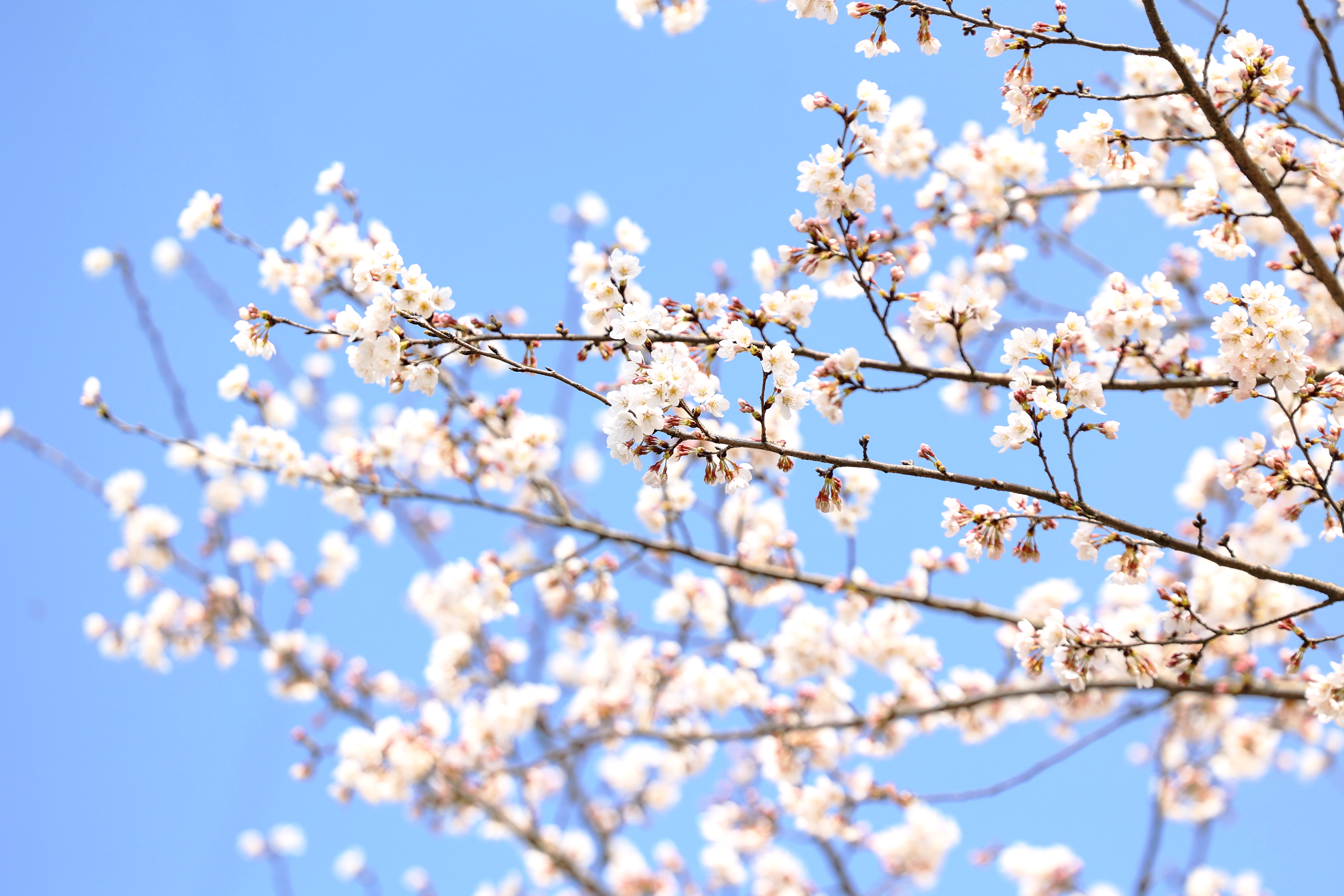 微信图片_20260304160917_2054_136