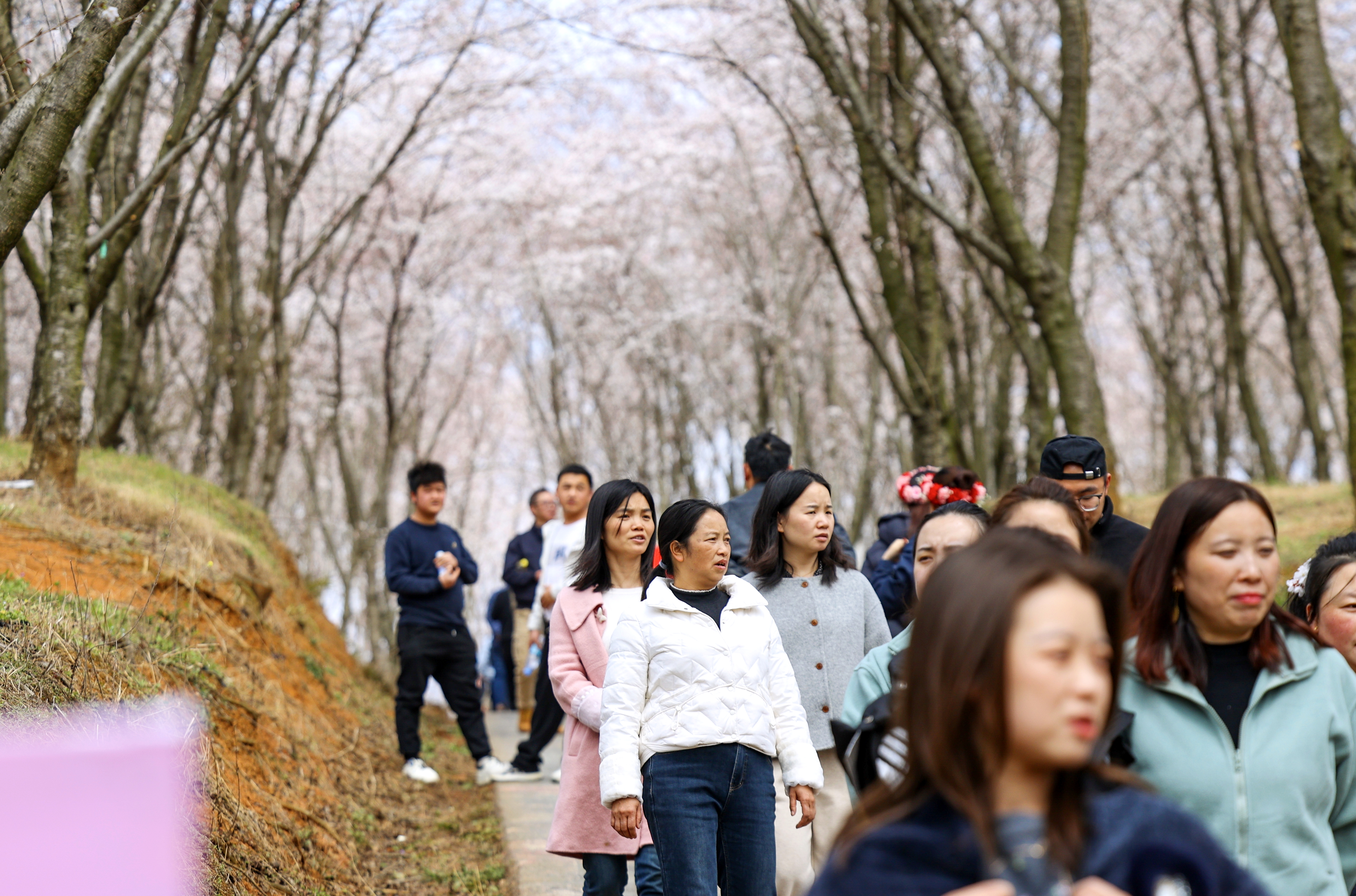 微信图片_20260304160915_2052_136