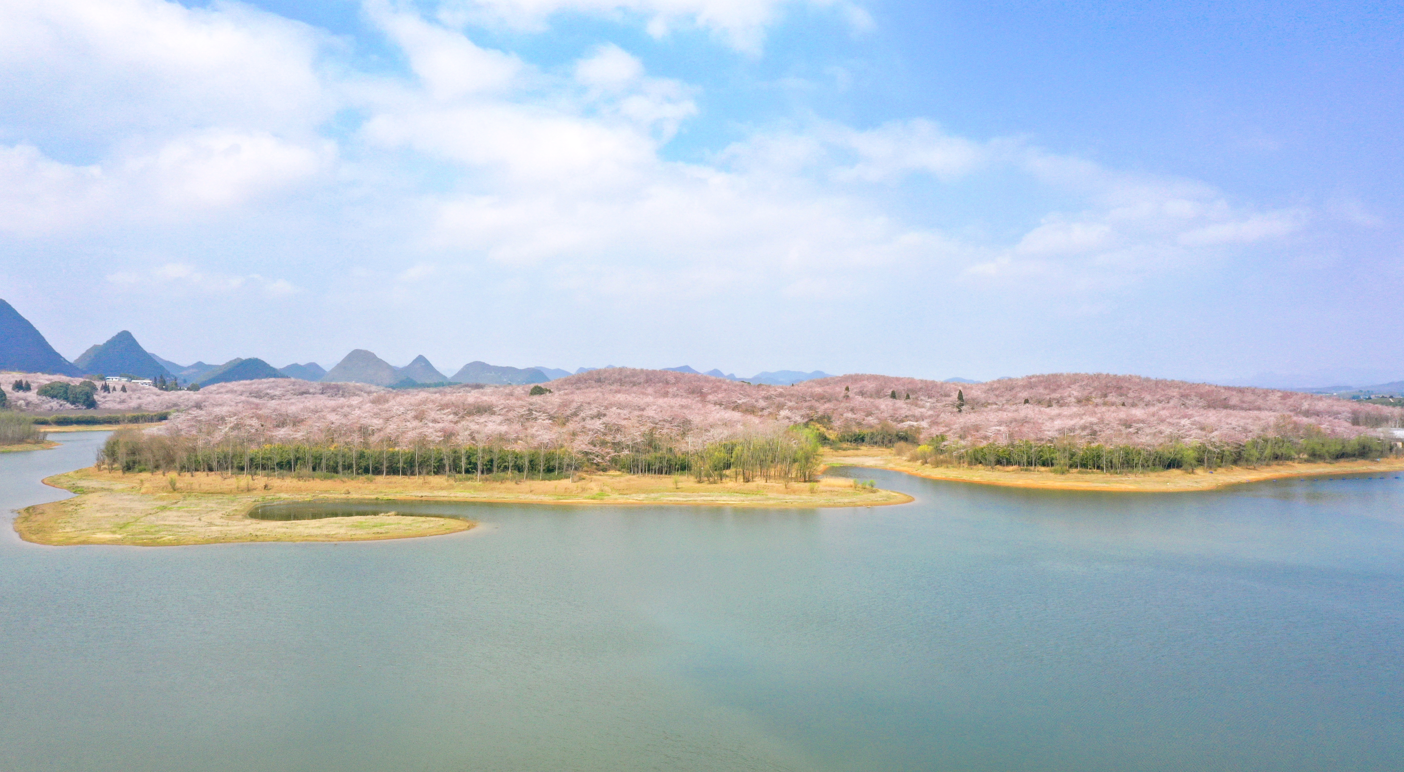 微信图片_20260304160914_2051_136