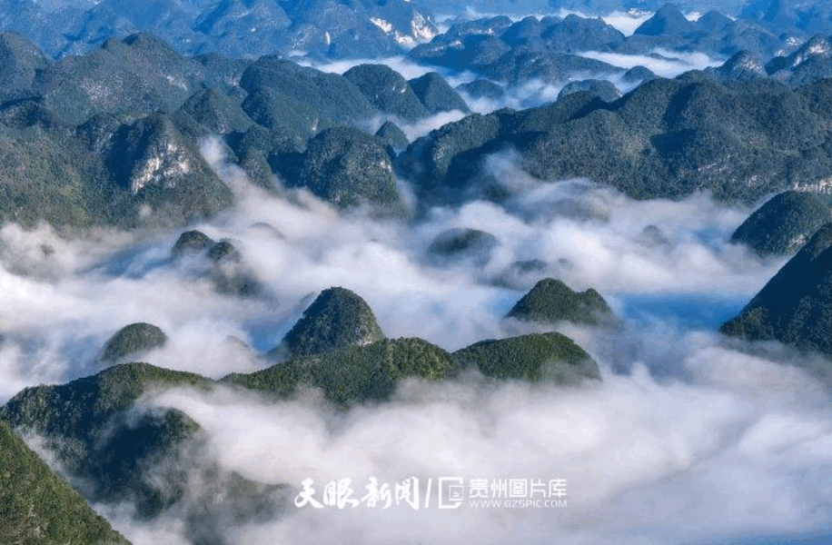 dD0xNzcyNTU3NDc4X3I9YTk5YTgwMGU=.gif 61.gif