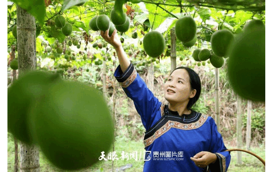 dD0xNzcyNTUyNDAyX3I9OWM5MjQ1N2I=.gif 21.gif