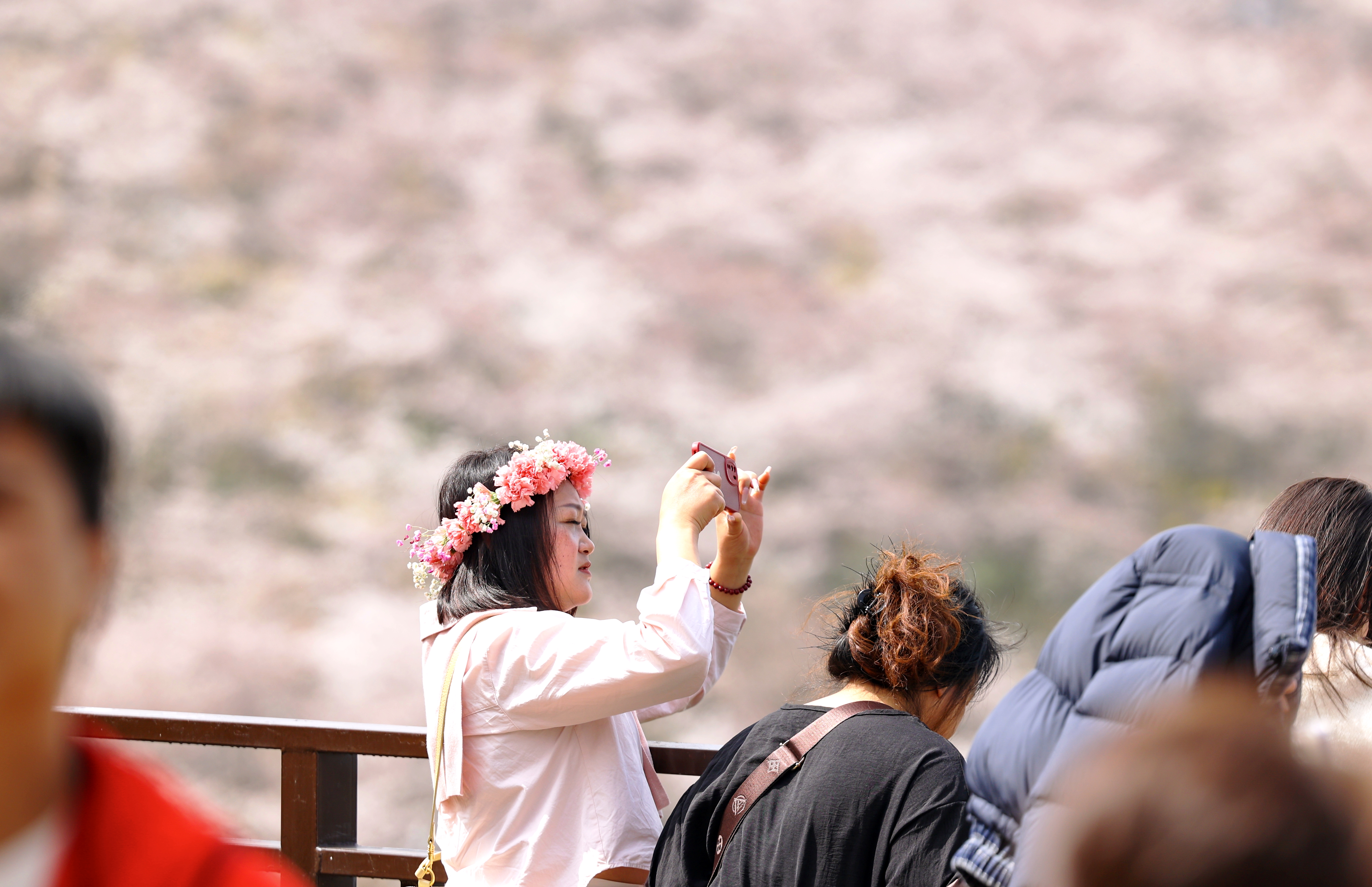 微信图片_20260304160916_2053_136