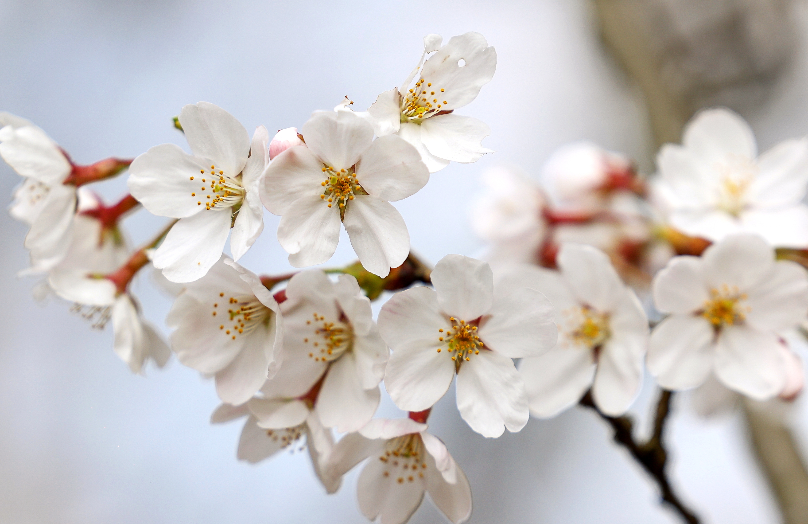 微信图片_20260304160918_2055_136