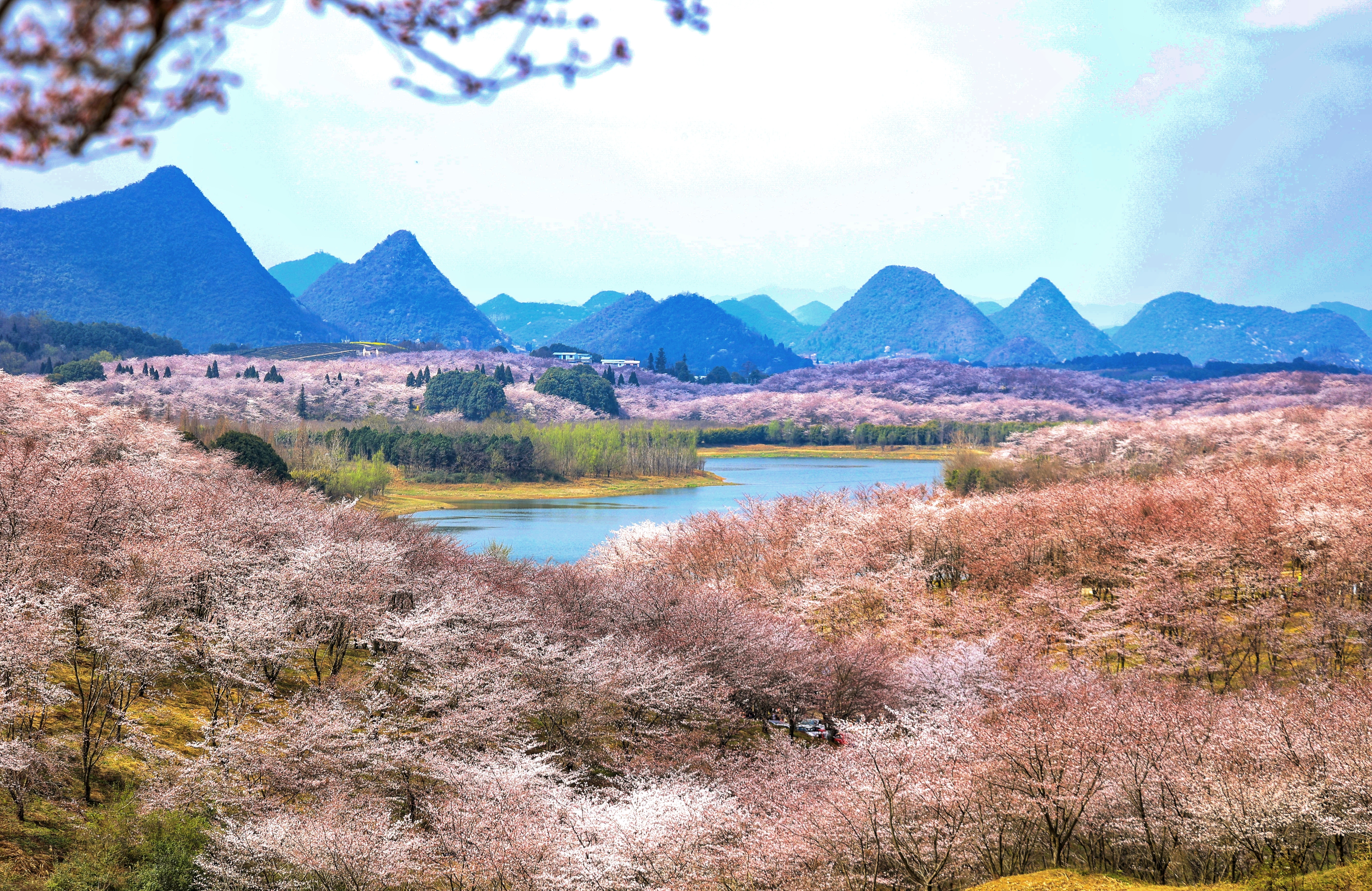 微信图片_20260304160907_2046_136