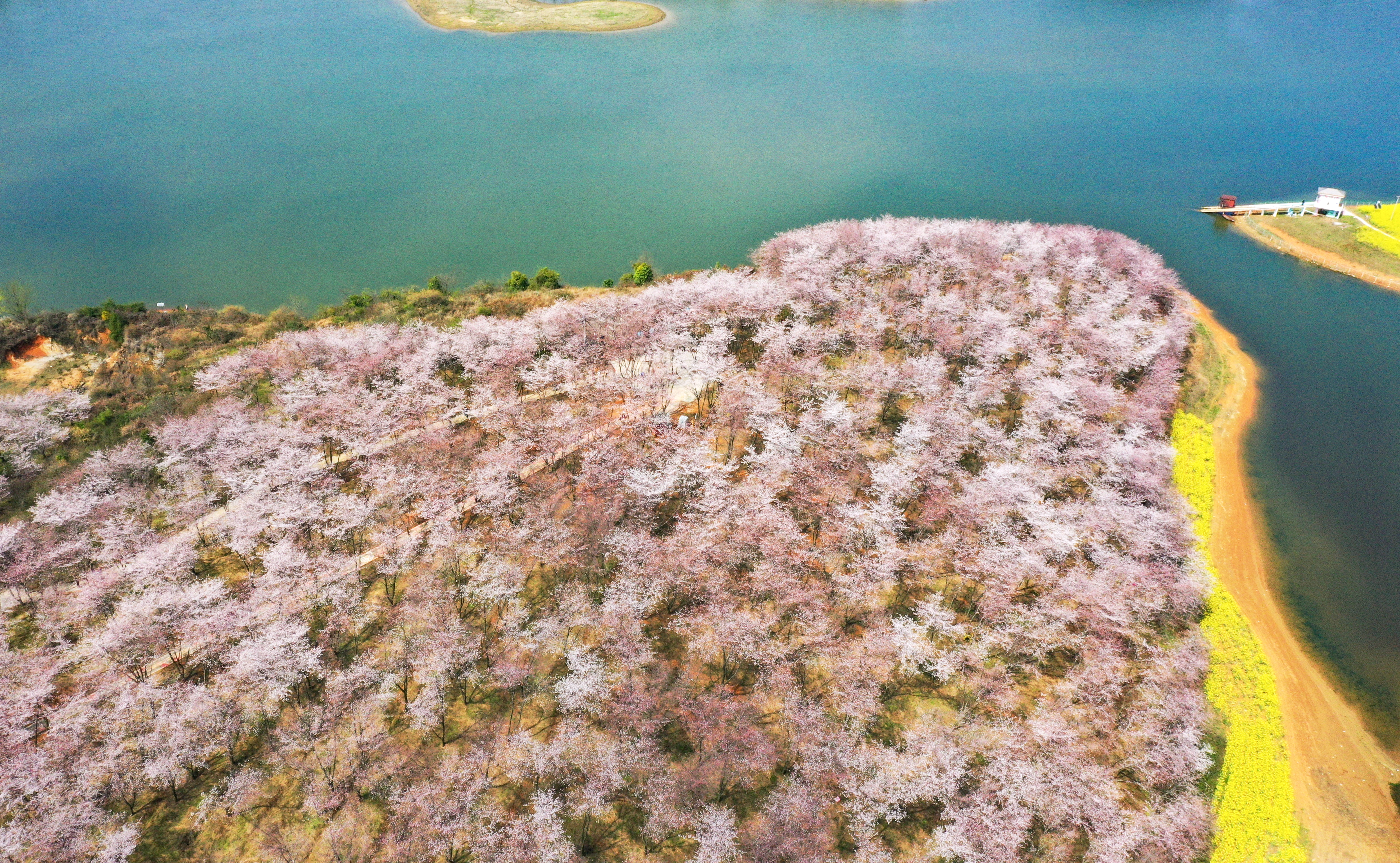 微信图片_20260304160911_2048_136