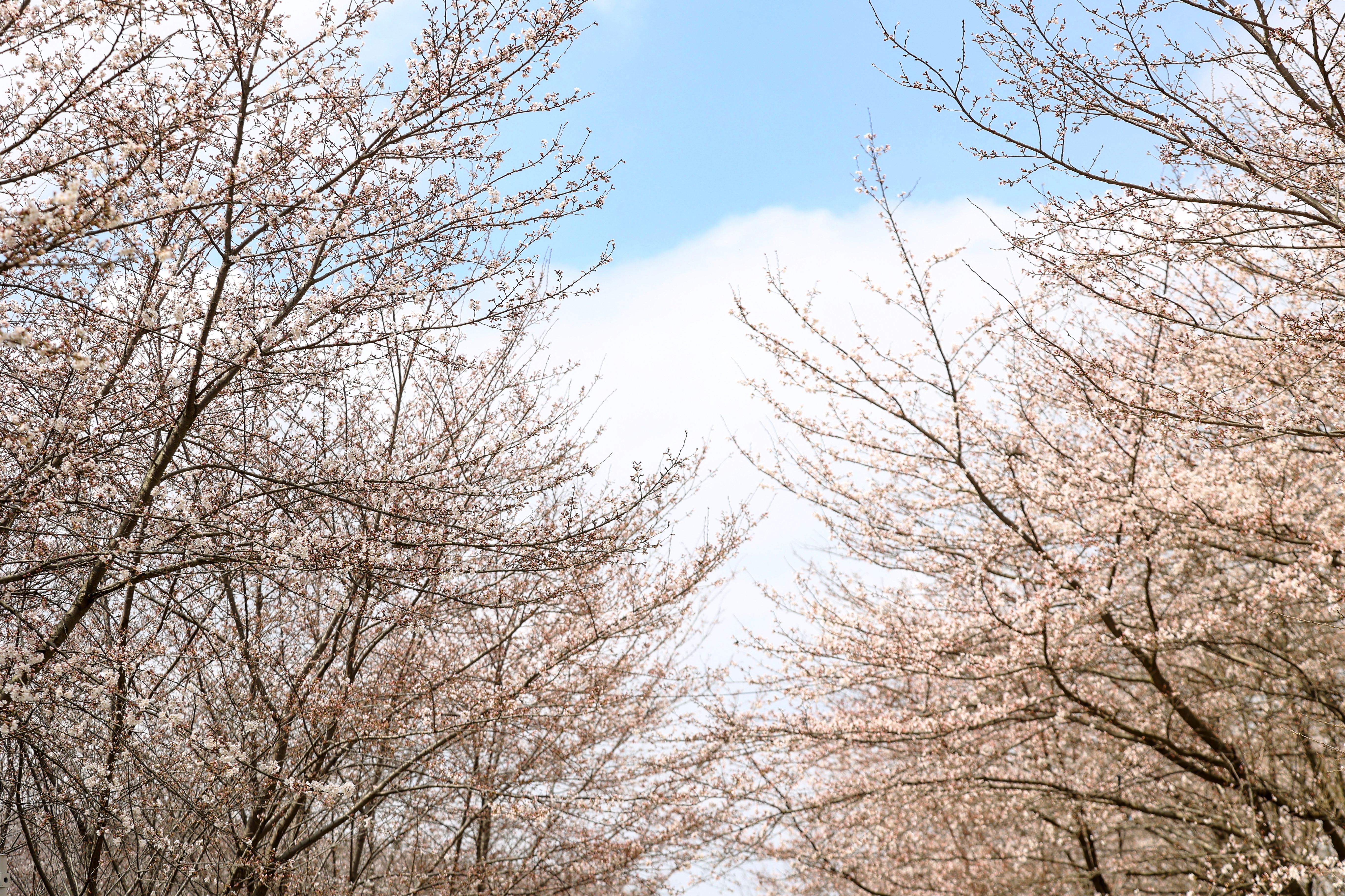 微信图片_20260304160909_2047_136