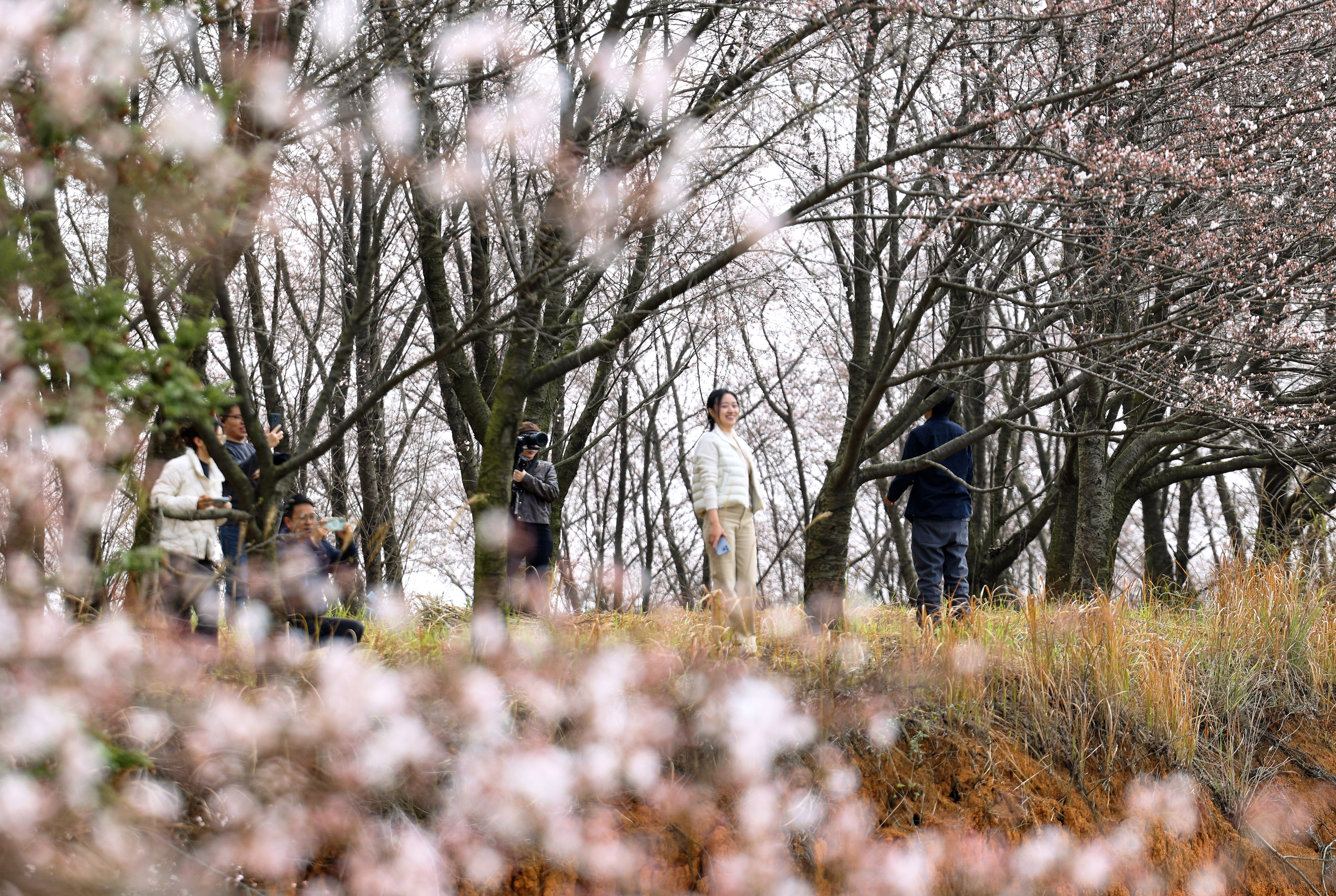 微信图片_20260304160920_2056_136