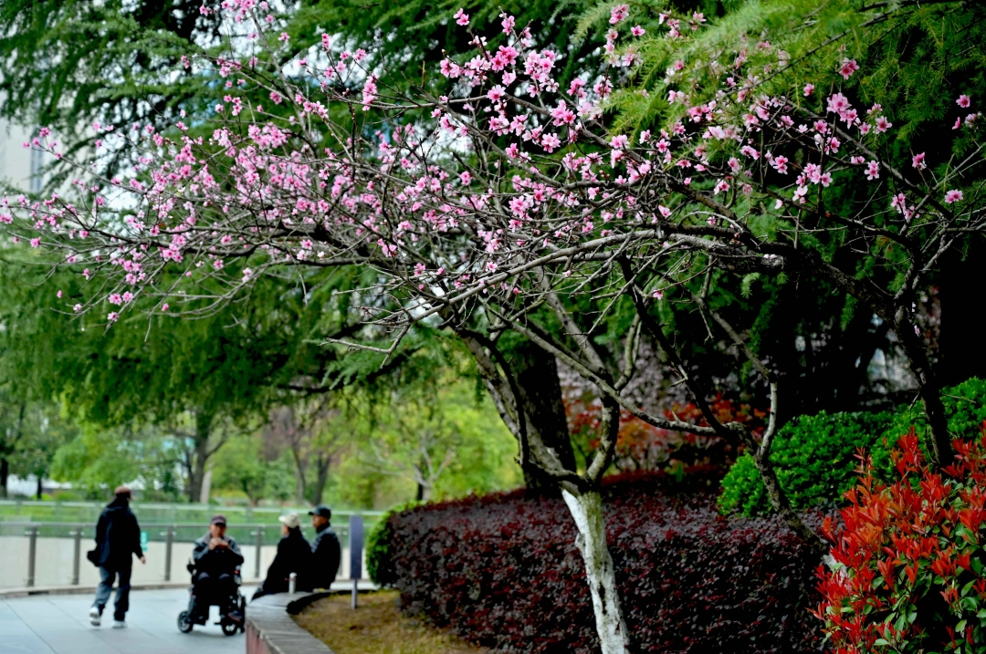 dD0xNzcyODU1NDY5X3I9YmY4ZDdjZTBfdz0xMDgwX3E9MTAwX2U9anBn.webp 5.jpg