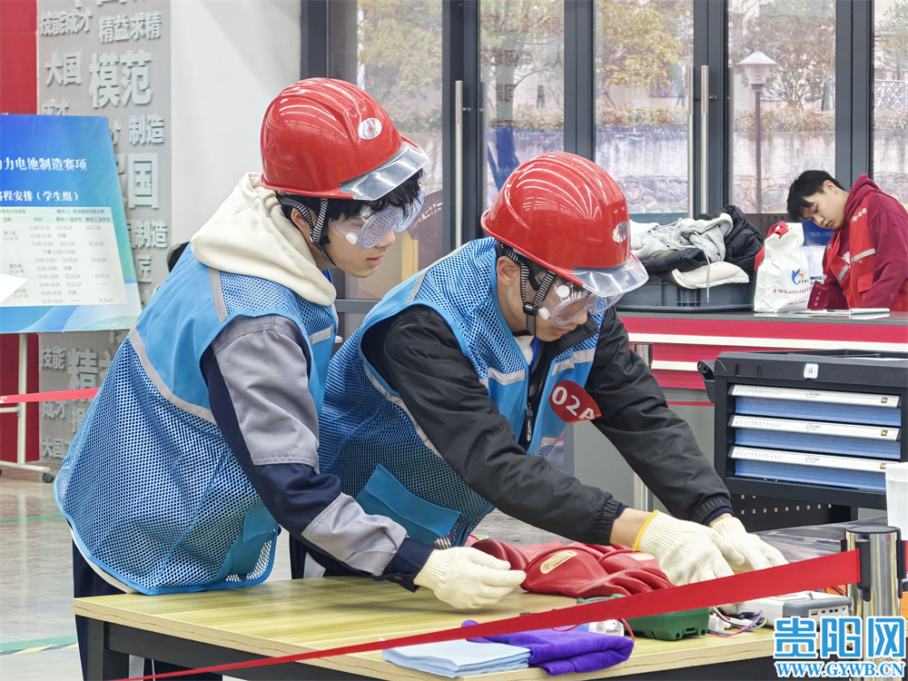 IMG_20260308_092429 IMG_20260308_092429