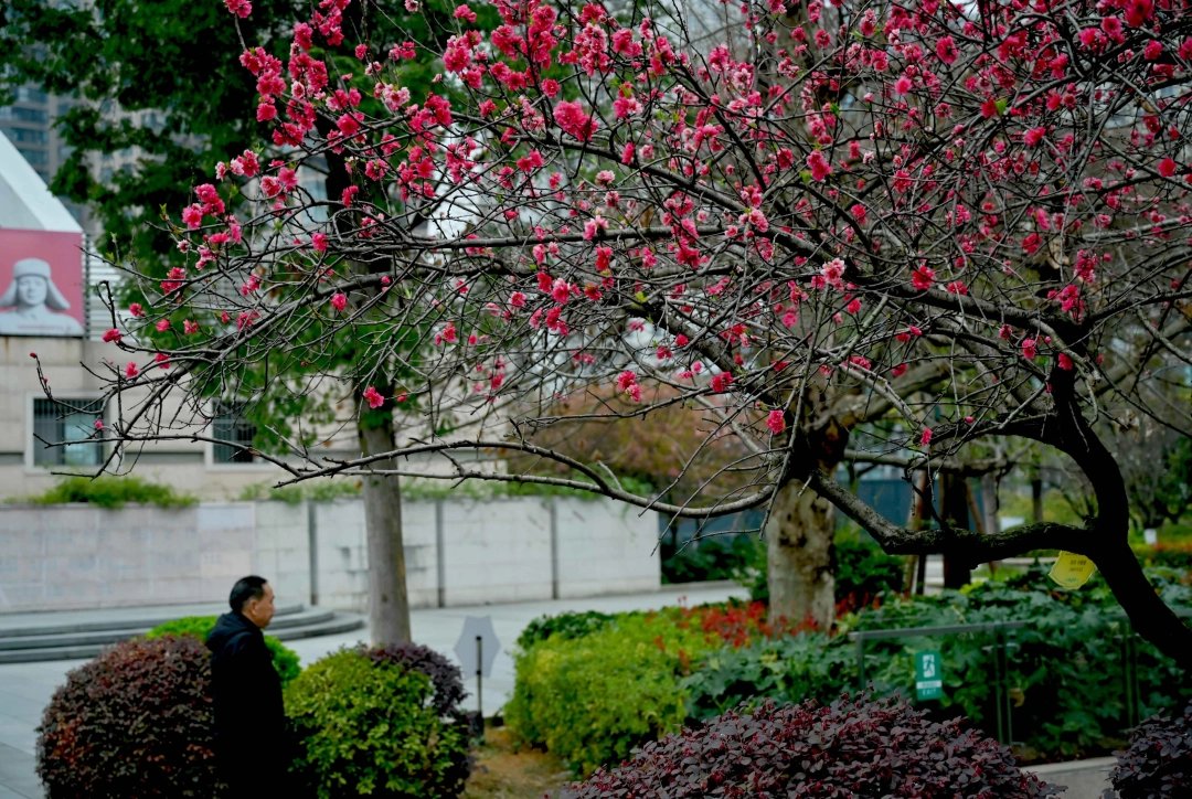 dD0xNzcyODU1NDg1X3I9ZjYxZTIwMThfdz0xMDgwX3E9MTAwX2U9anBn.webp 1.jpg