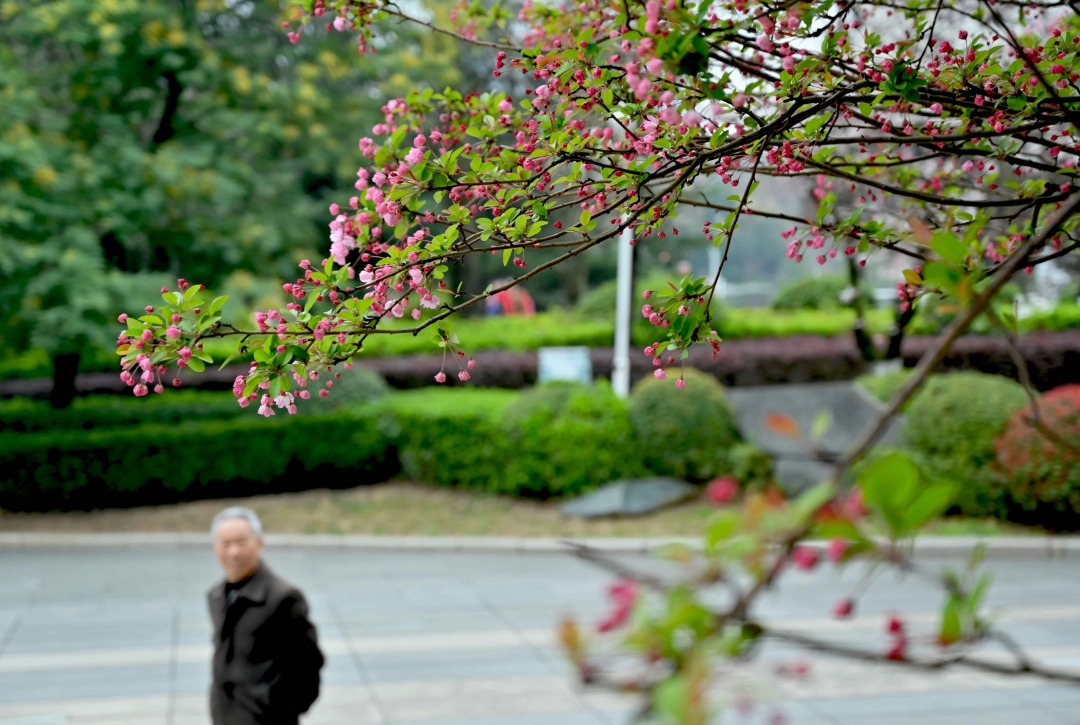 dD0xNzcyODU1NTIxX3I9OTE4OWYzZjRfdz0xMDgwX3E9MTAwX2U9anBn.webp 3.jpg