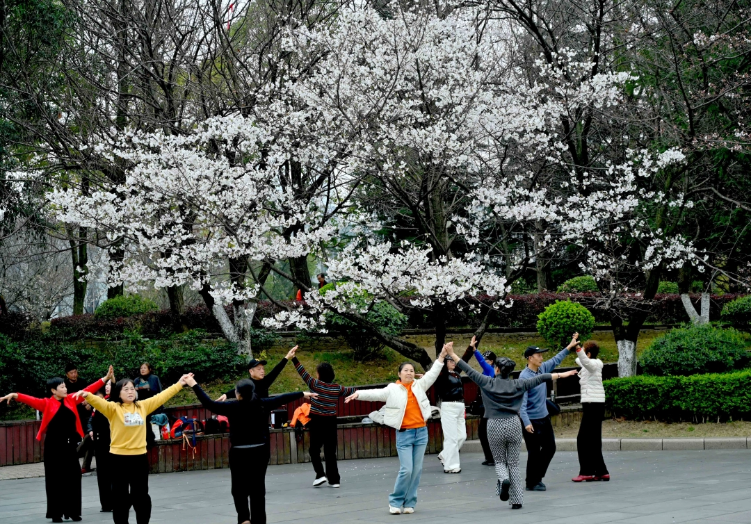 dD0xNzcyODU1NDAzX3I9YWNmMGM0M2Jfdz0xMDgwX3E9MTAwX2U9anBn.webp 2.jpg