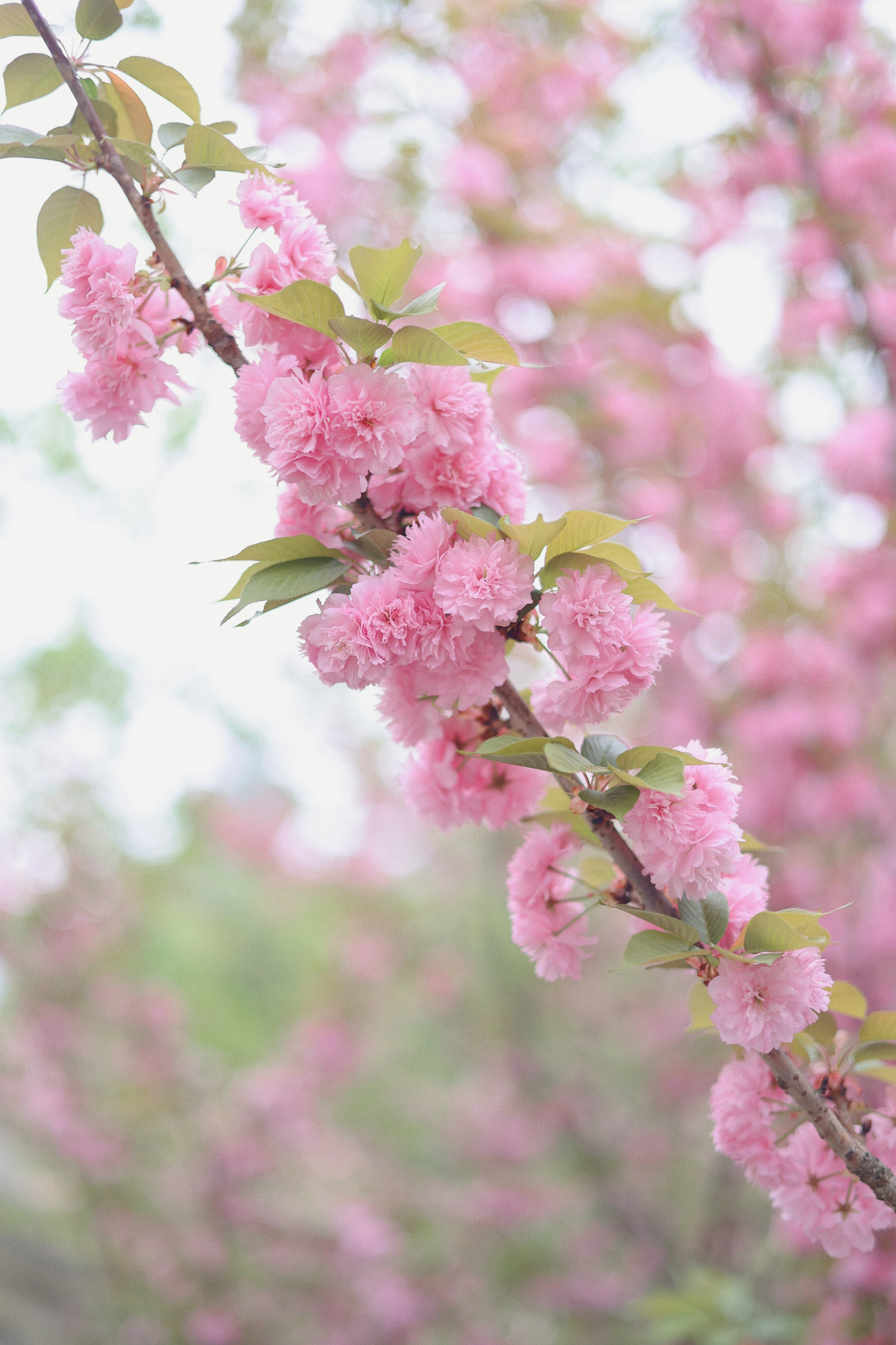 MTXX_MH20240404_161102182