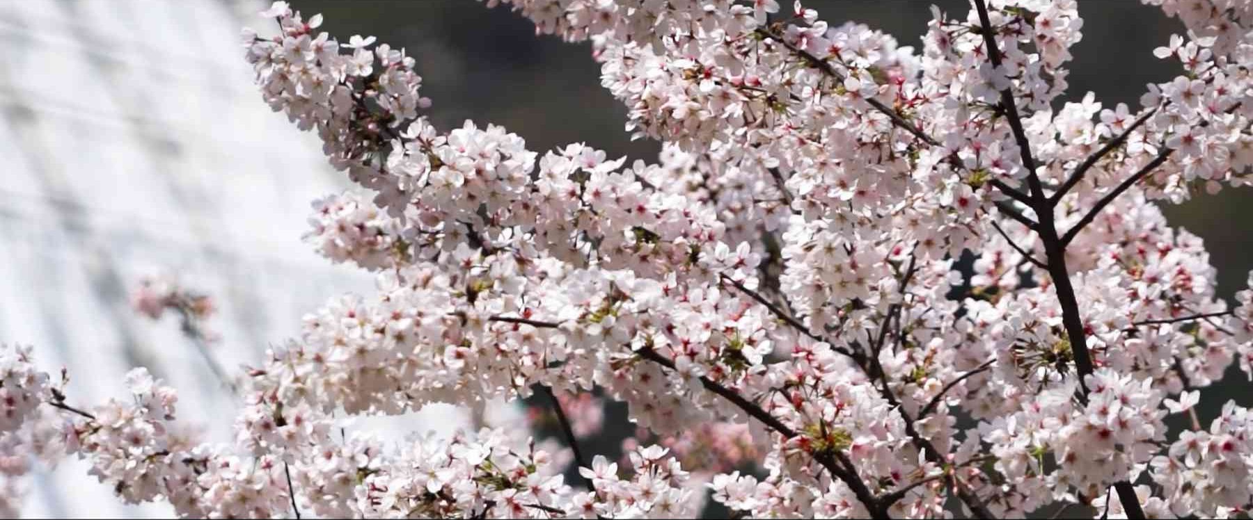 微信图片_20260309172842_862_439