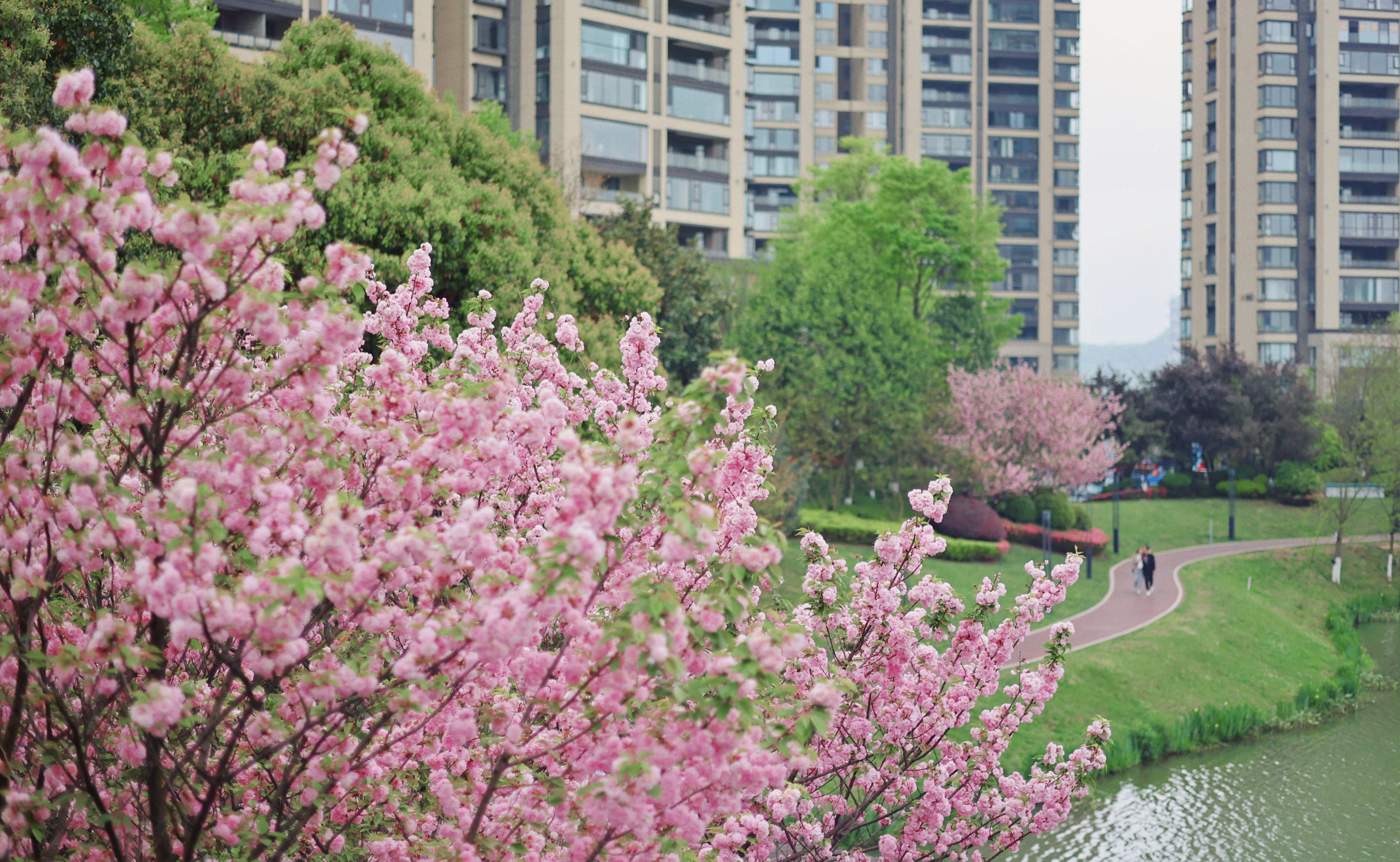 MTXX_MH20240404_161236338