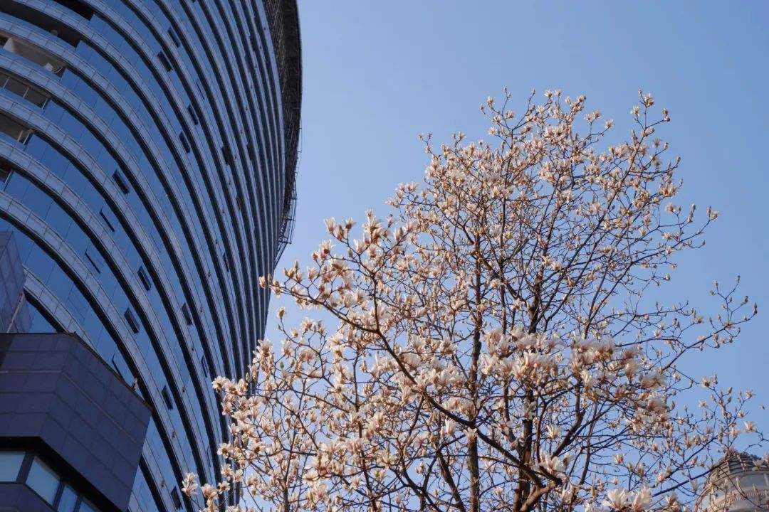 微信图片_20250304145818 图片