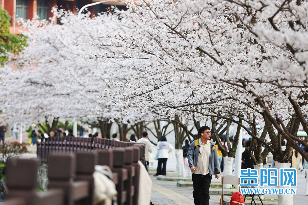 (4)MEITU_20260311_193754069