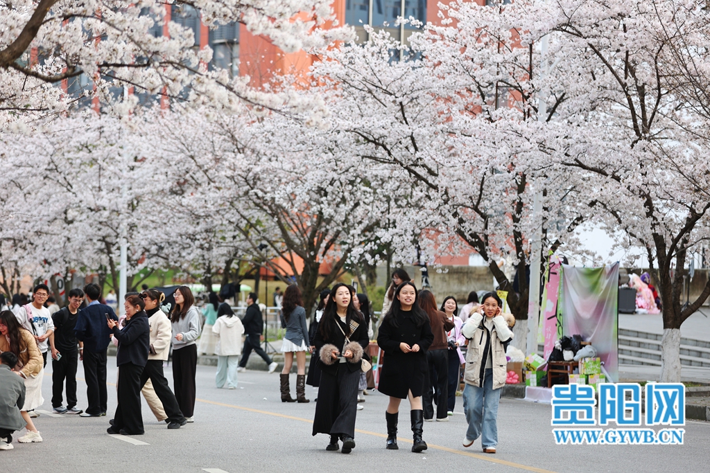 (8)MEITU_20260311_193830827