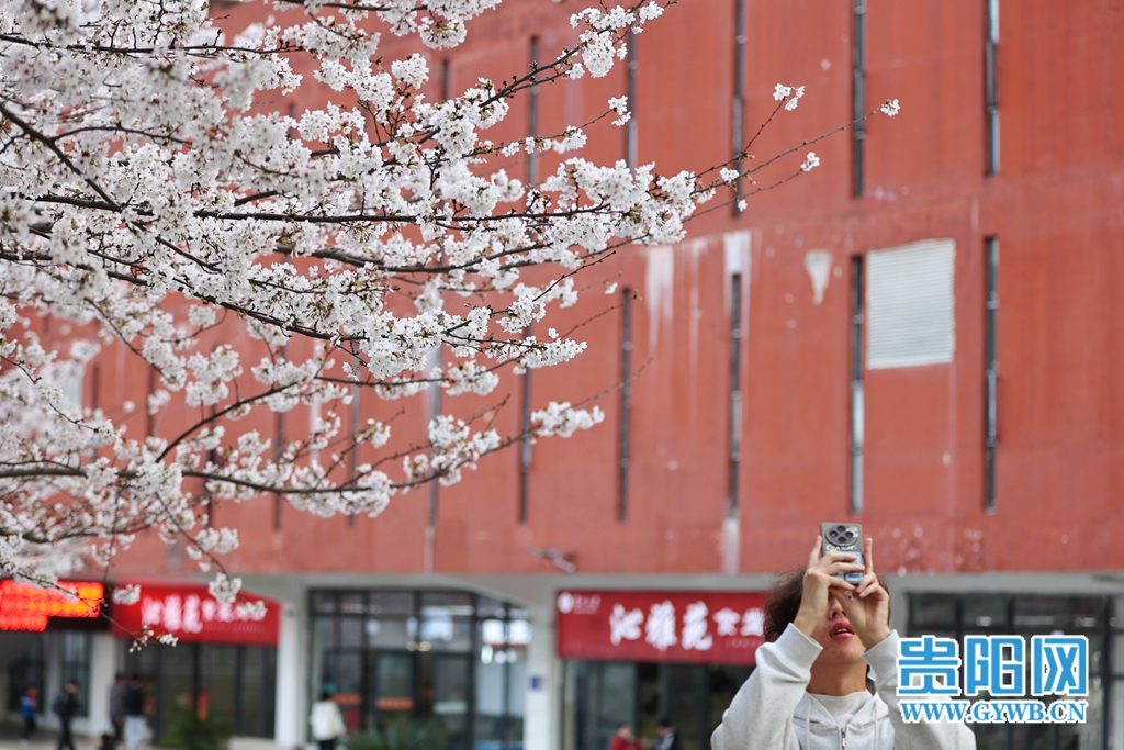 (2)MEITU_20260311_193729593