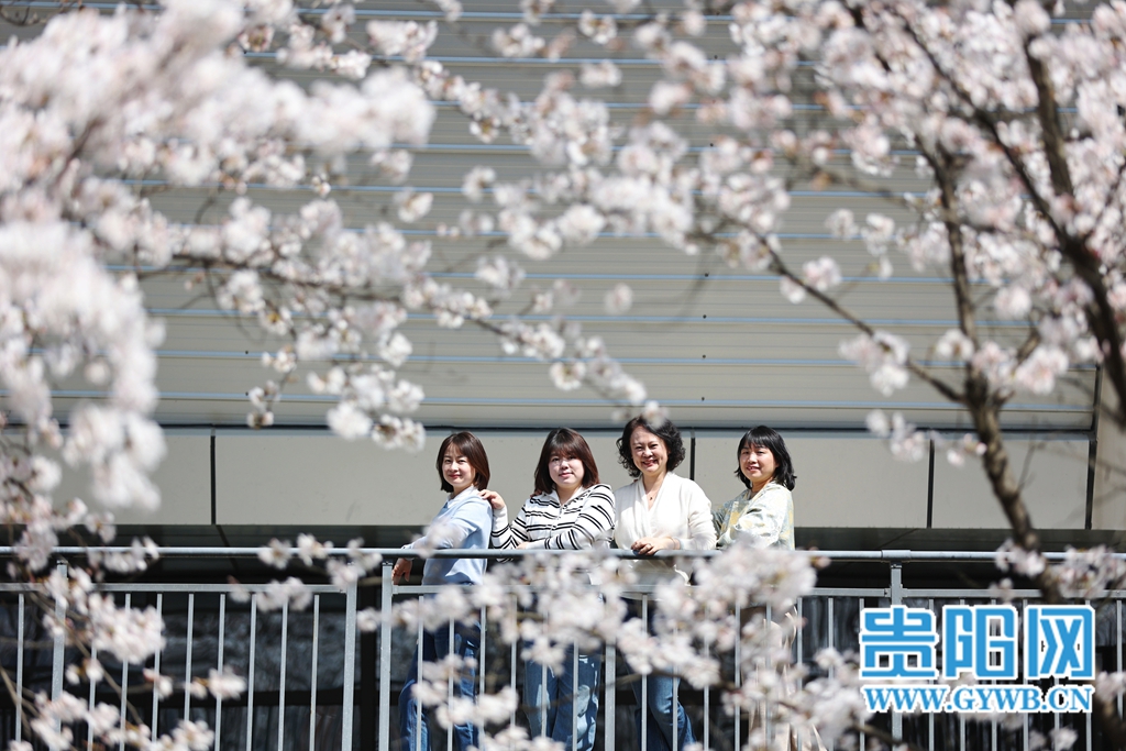 (3)MEITU_20260311_194112406