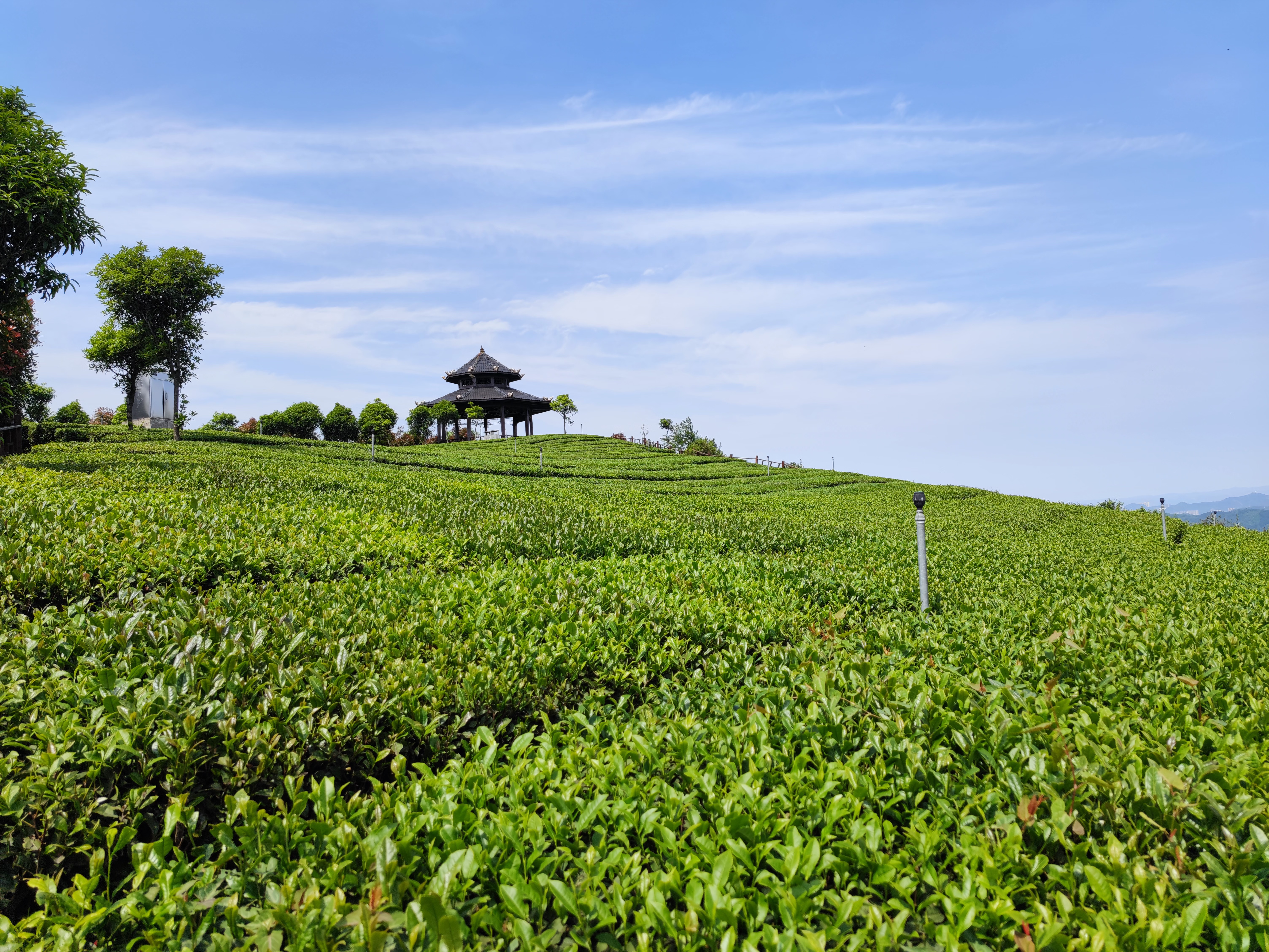 久安 李春明.jpg