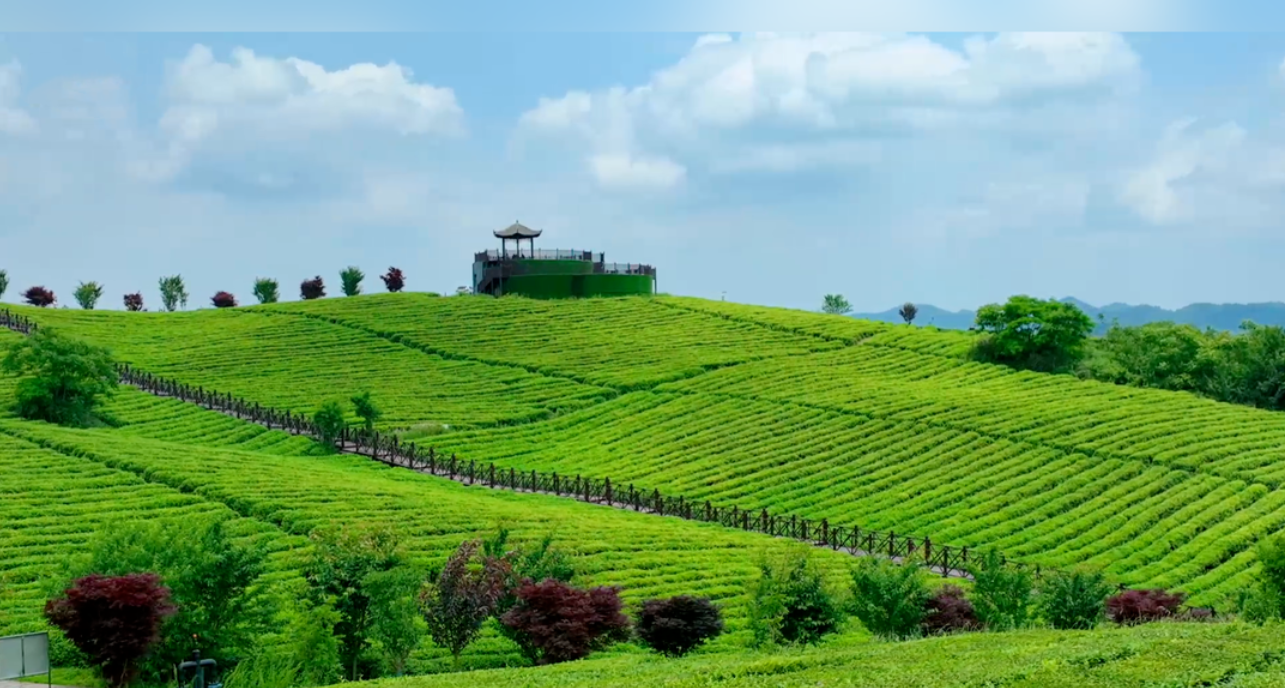 1773287886101012609.png image.png