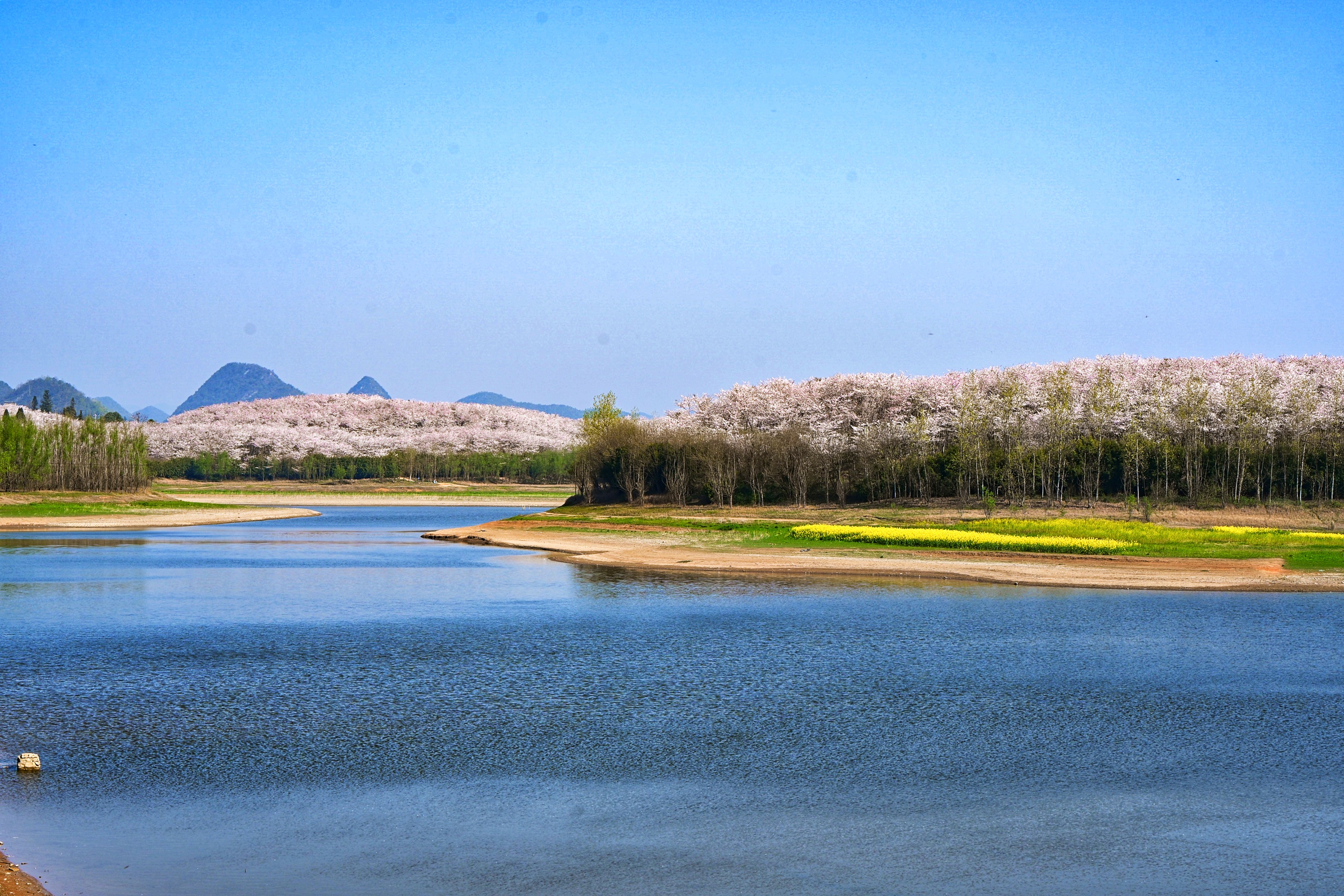 1773537642115052224.jpg f14087433ecc409593199814017c650f.jpg