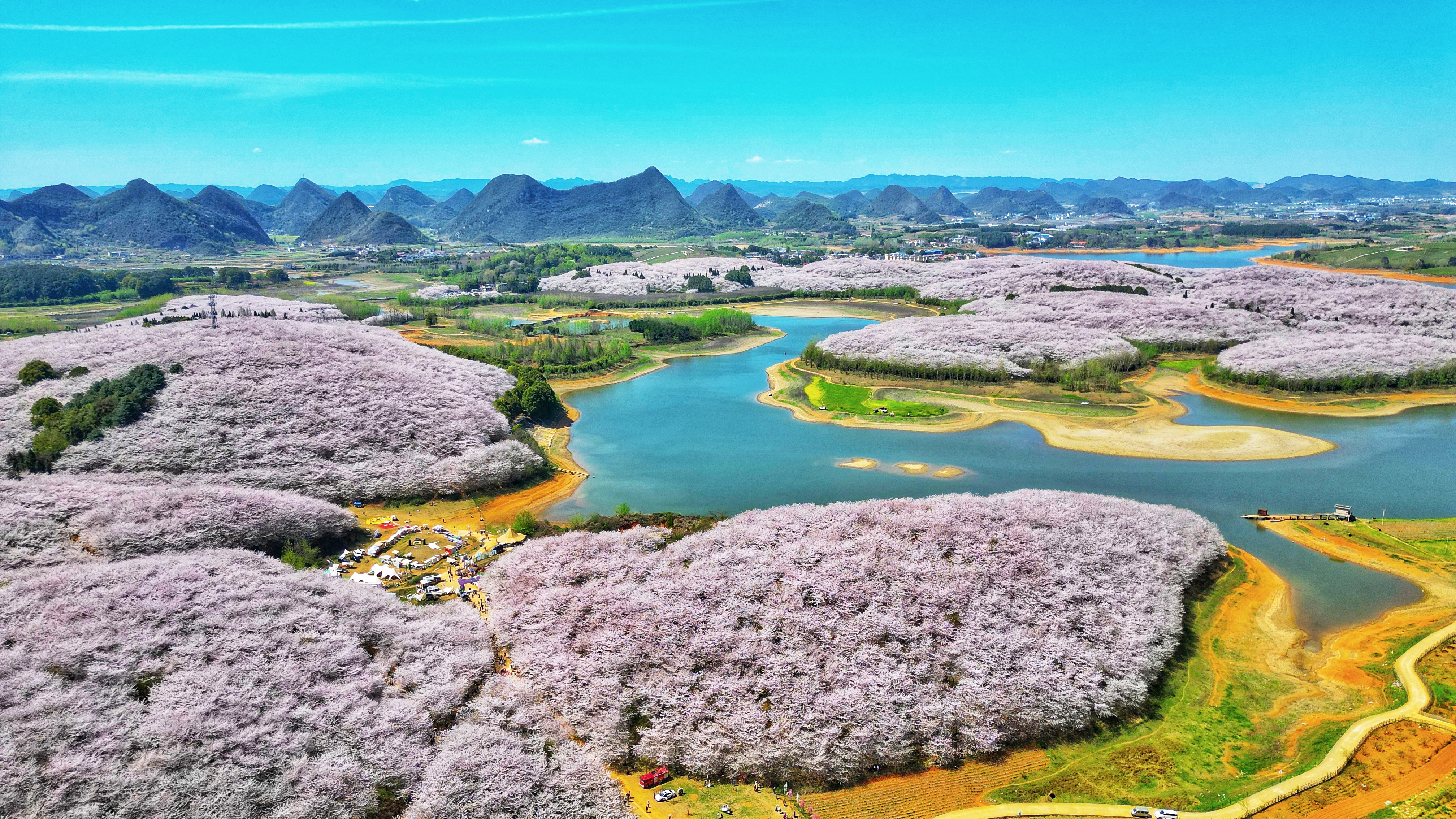 1773537623565011443.jpg f093f3e77c7d48c68b364ad58267a8bb.jpg