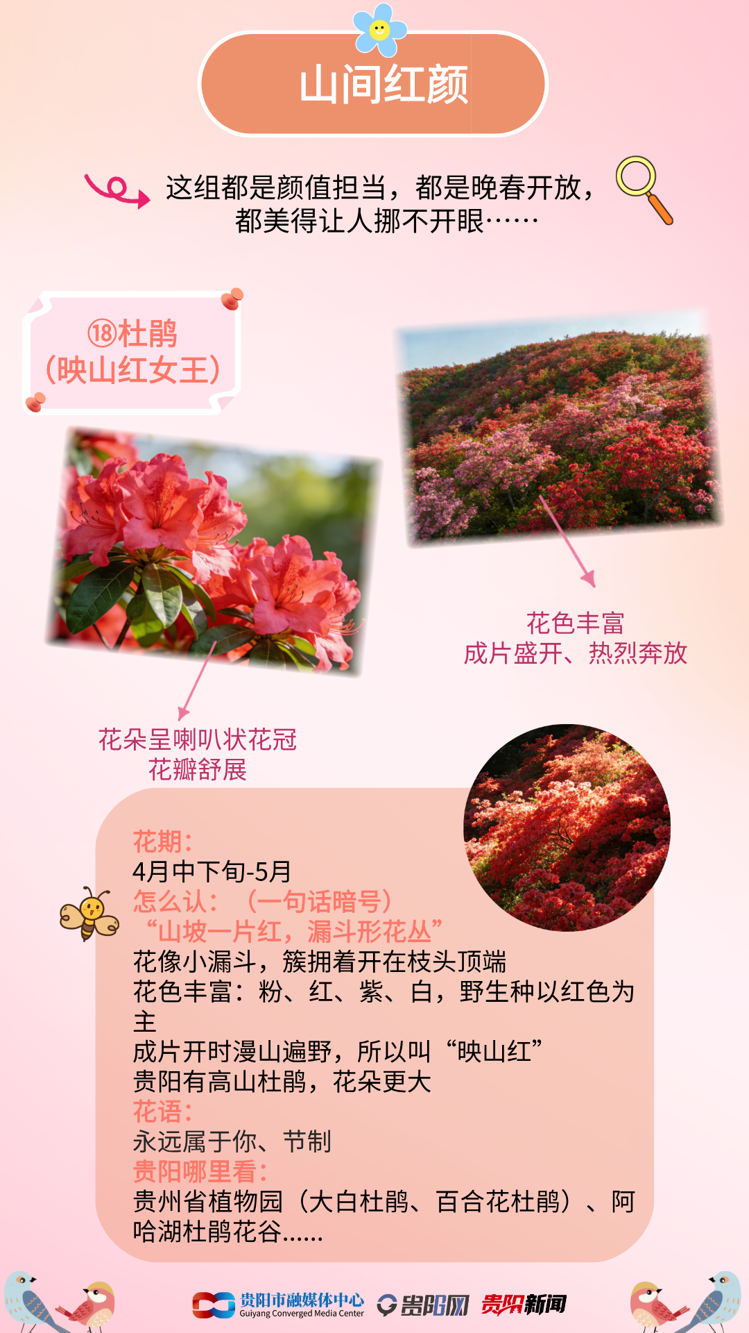 1773219472160099024.png 2.png