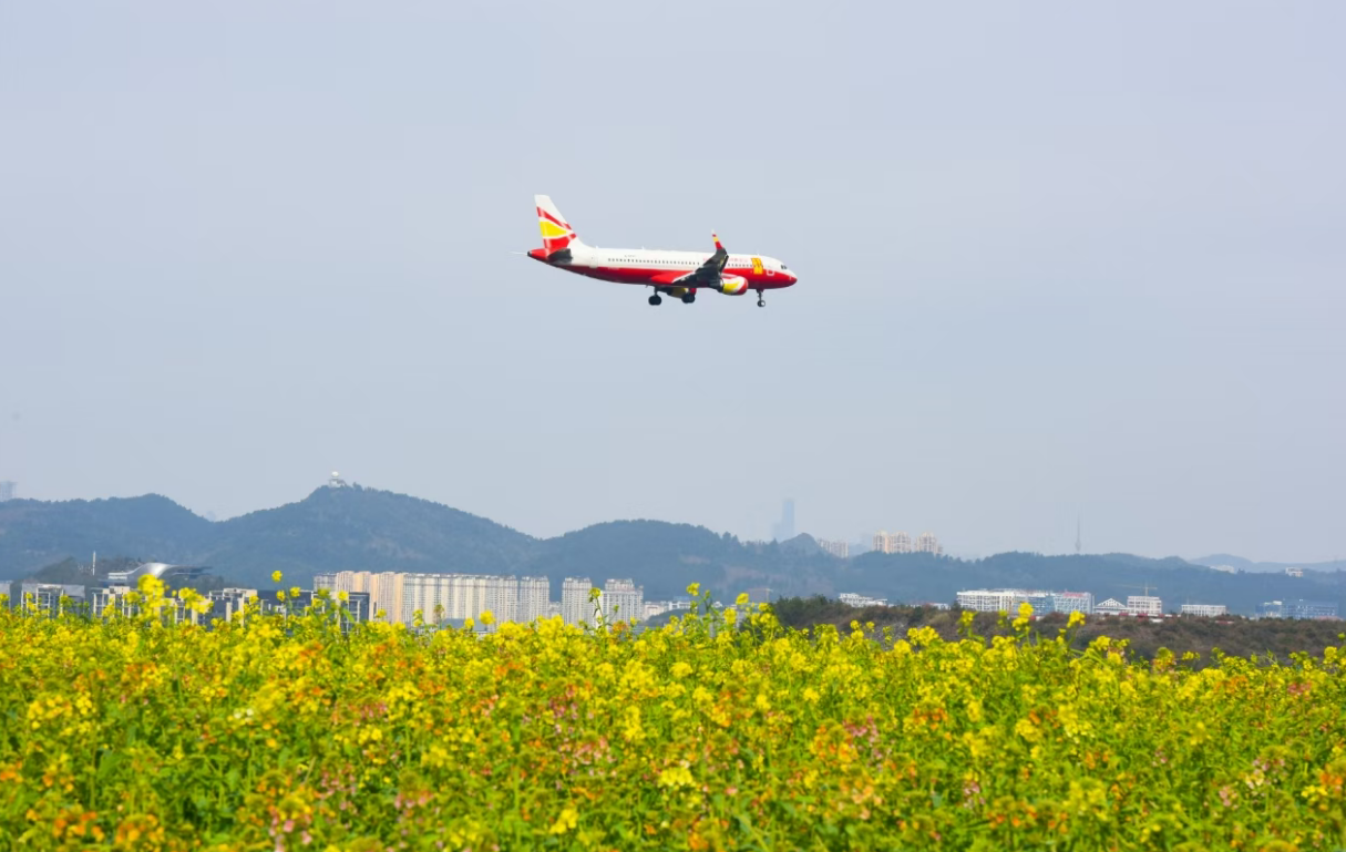 微信图片_2026-03-18_141932_784