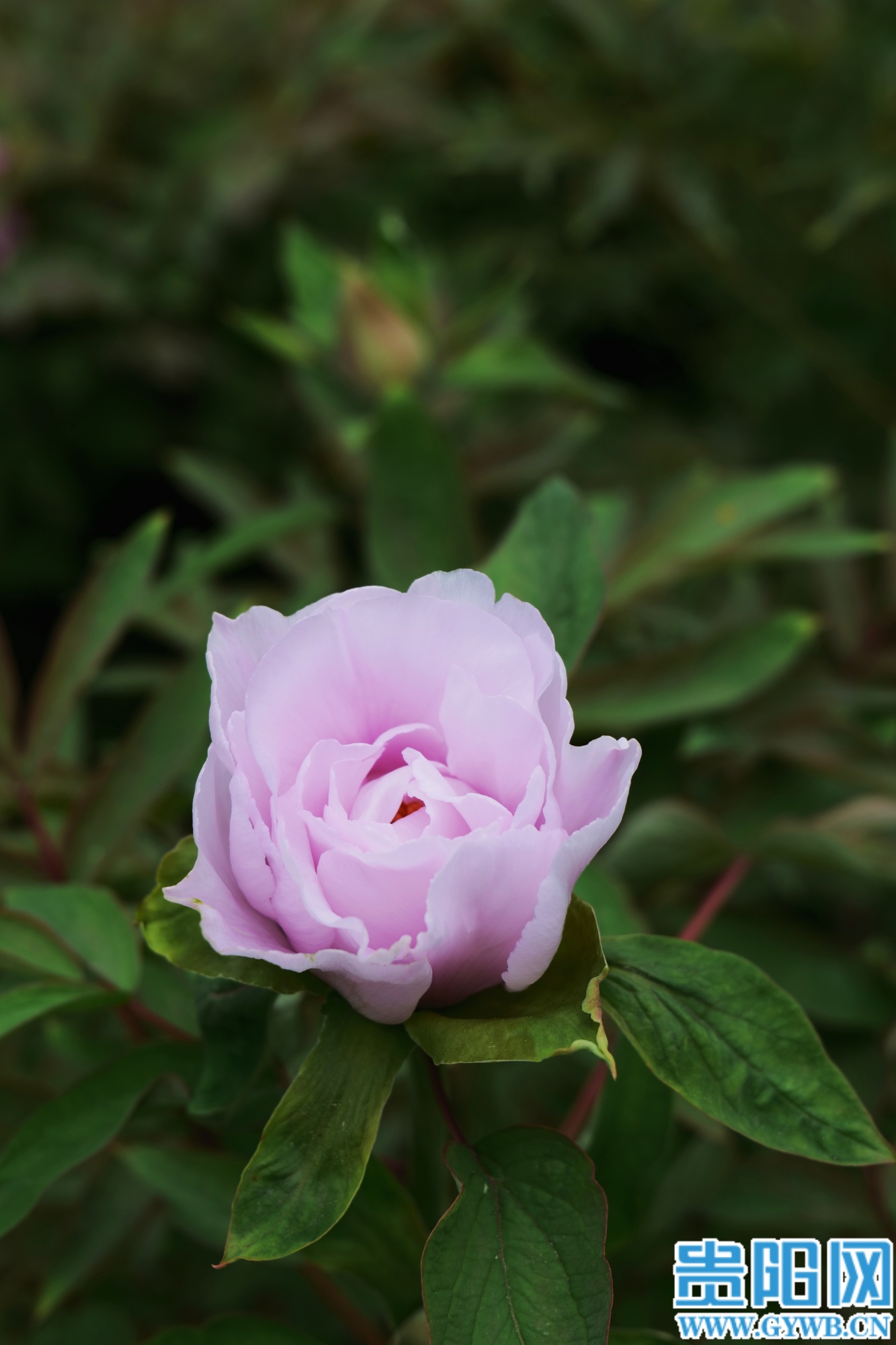 (9)retouch_2026032013181465 (1)