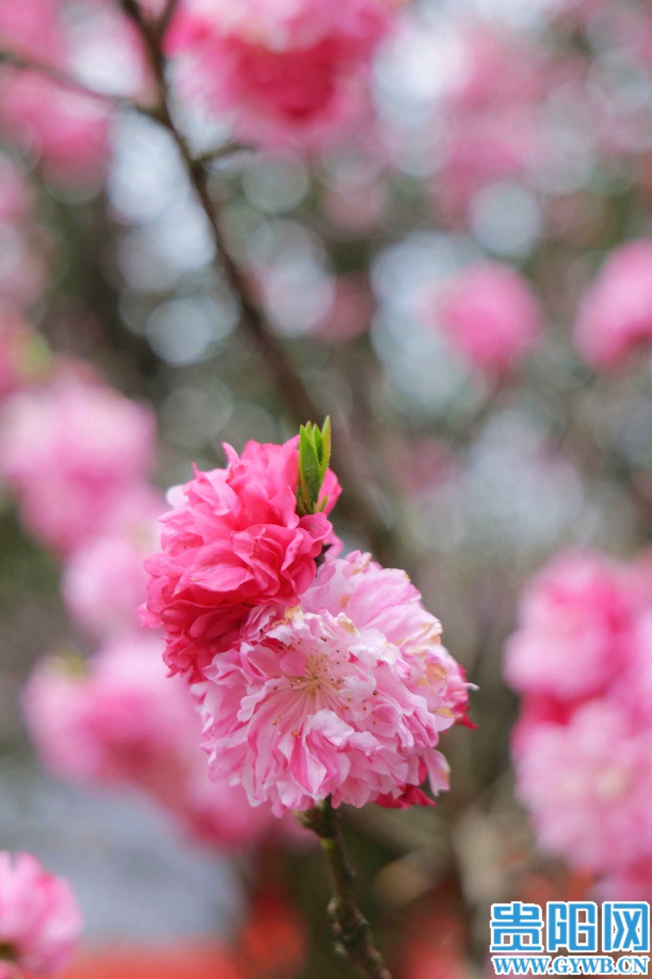 (4)retouch_2026032013134053 (1)