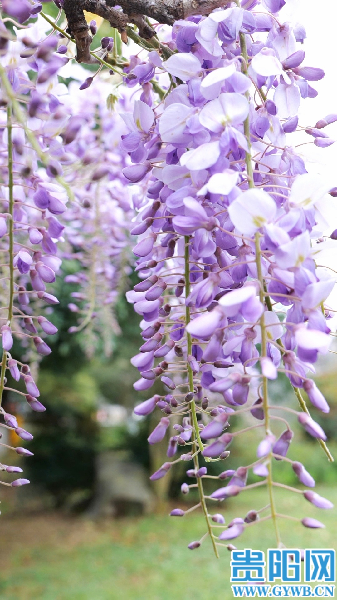 (8)retouch_2026032013514031 (1)_1