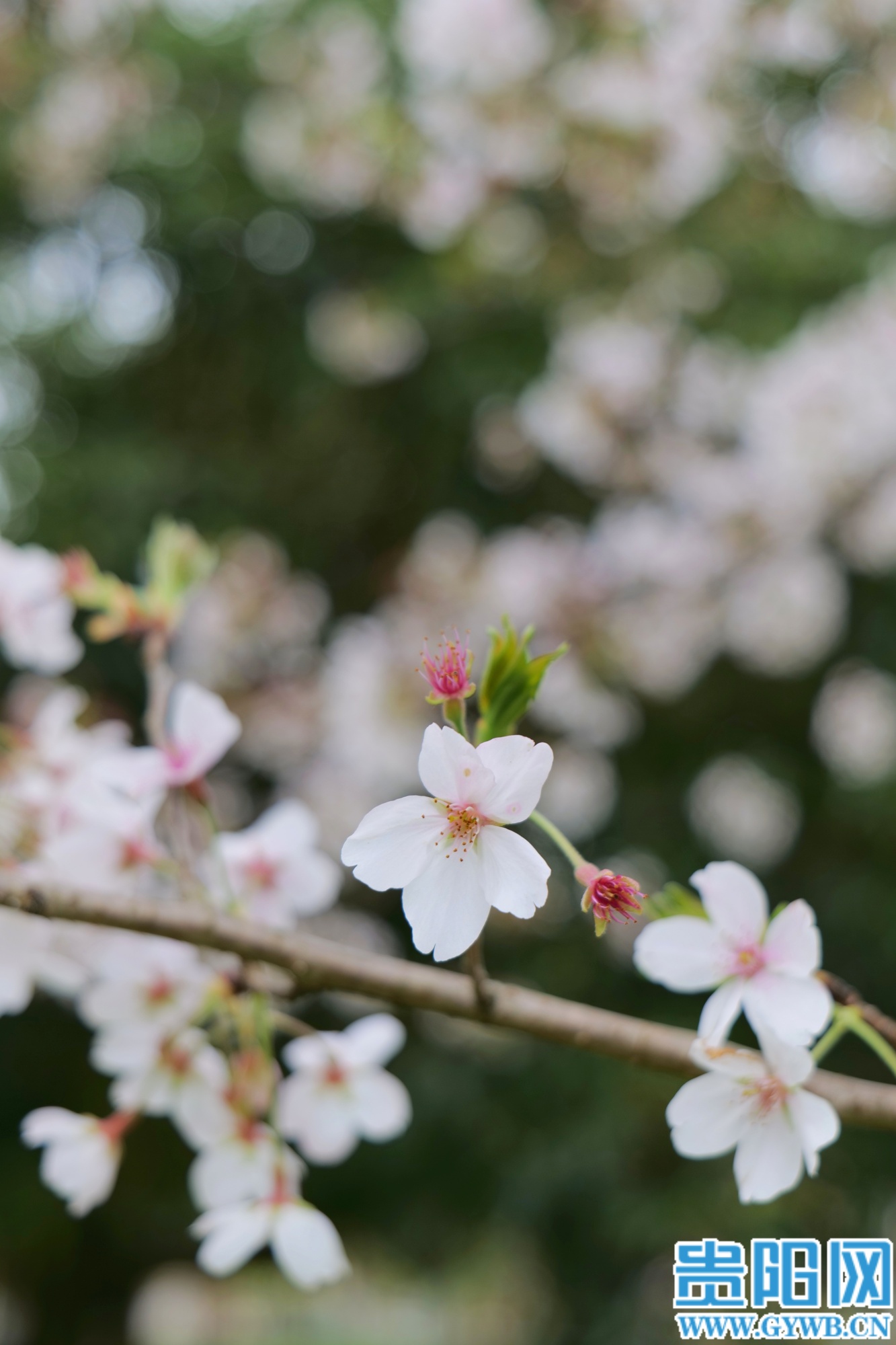 (3)retouch_2026032013124079 (1)