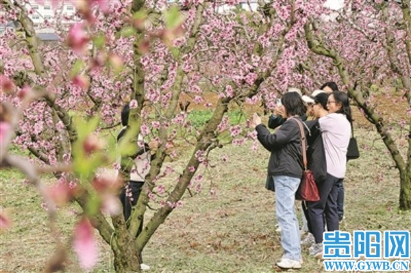 gyrb1628701_jsb_1773895193702_b