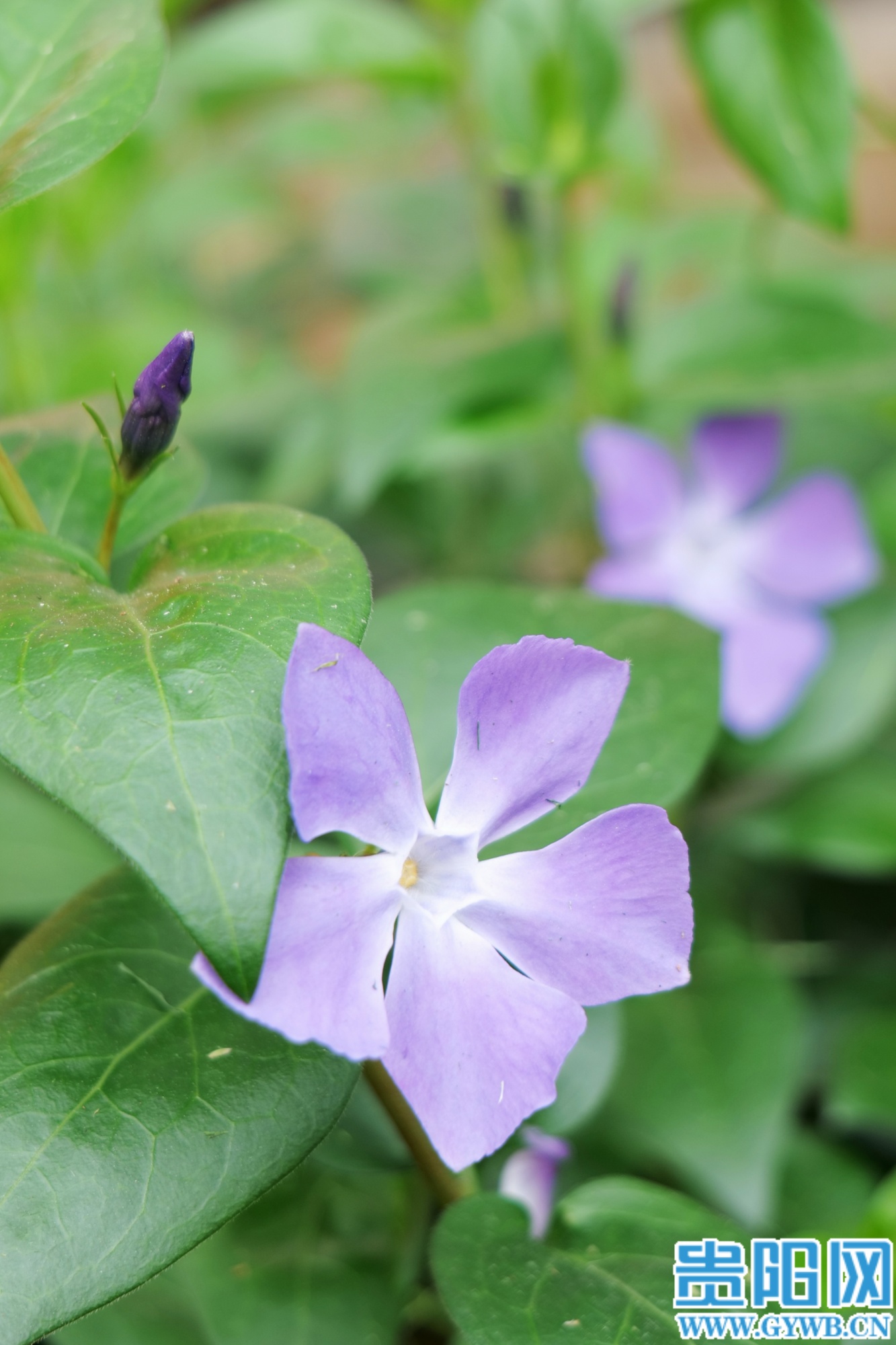 (1)retouch_2026032013532168 (1)