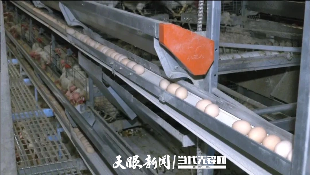 dD0xNzc0MTI5MjU5X3I9ZWNiYzViYjhfdz0xMDgwX3E9MTAwX2U9anBn.webp 17735699191772.jpg