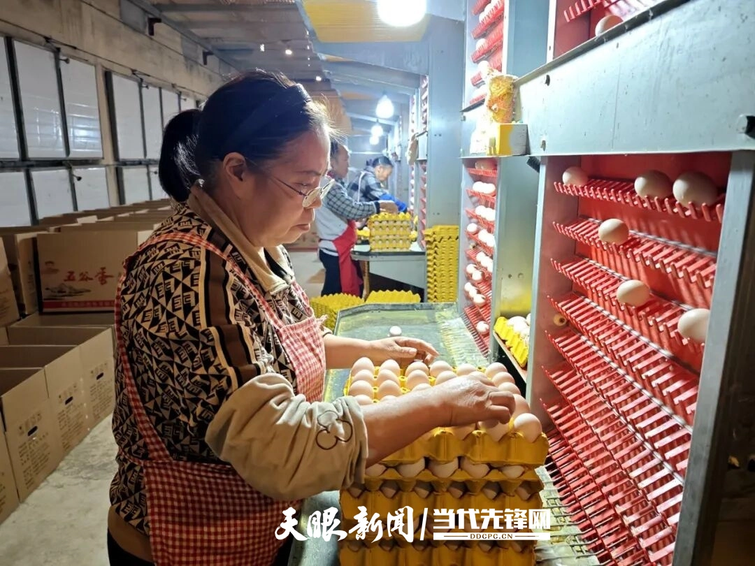 dD0xNzc0MTI5MjY4X3I9YThkZDRlZmJfdz0xMDgwX3E9MTAwX2U9anBn.webp 17735699443318.jpg