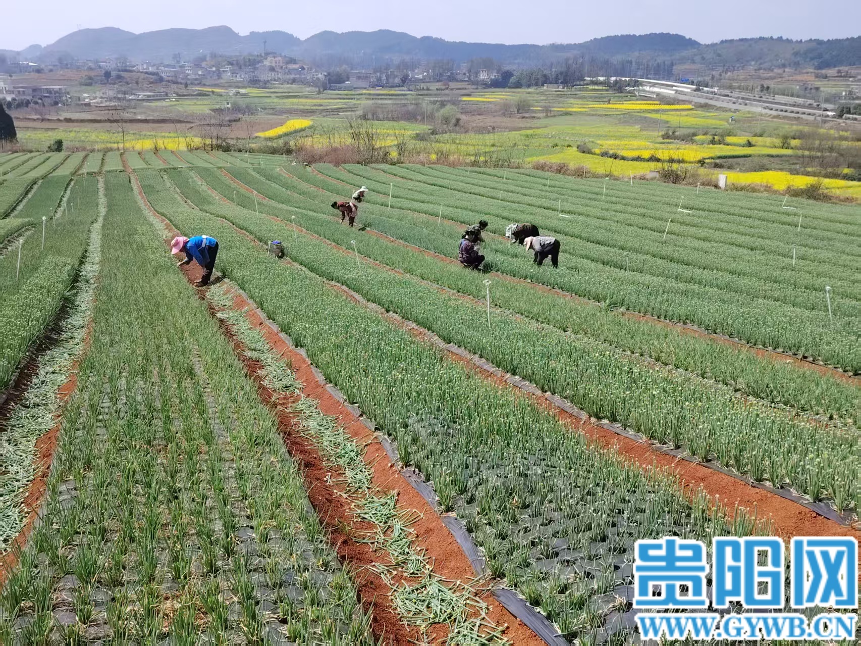 (4)896aaec109a66485f00ca9c55c2b1dcf (1)