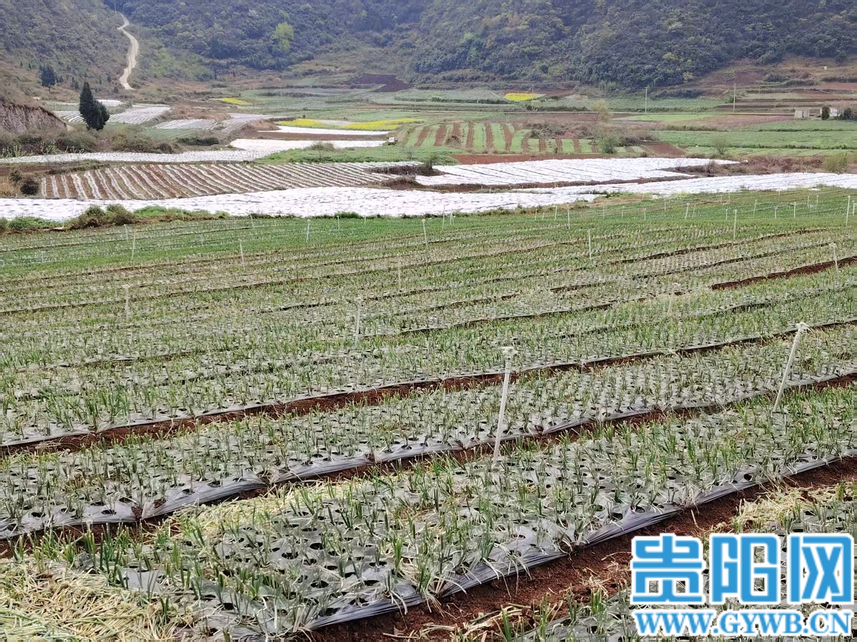 (3)a8dc3fcd02002b9986ce920deab327ef (1)