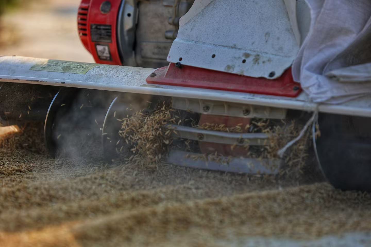 微信图片_20260328093934_266_149