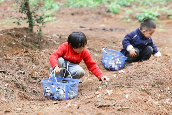 1774881887730005033.jpg 418cd92095085c3fe624fa05e463e025.jpg